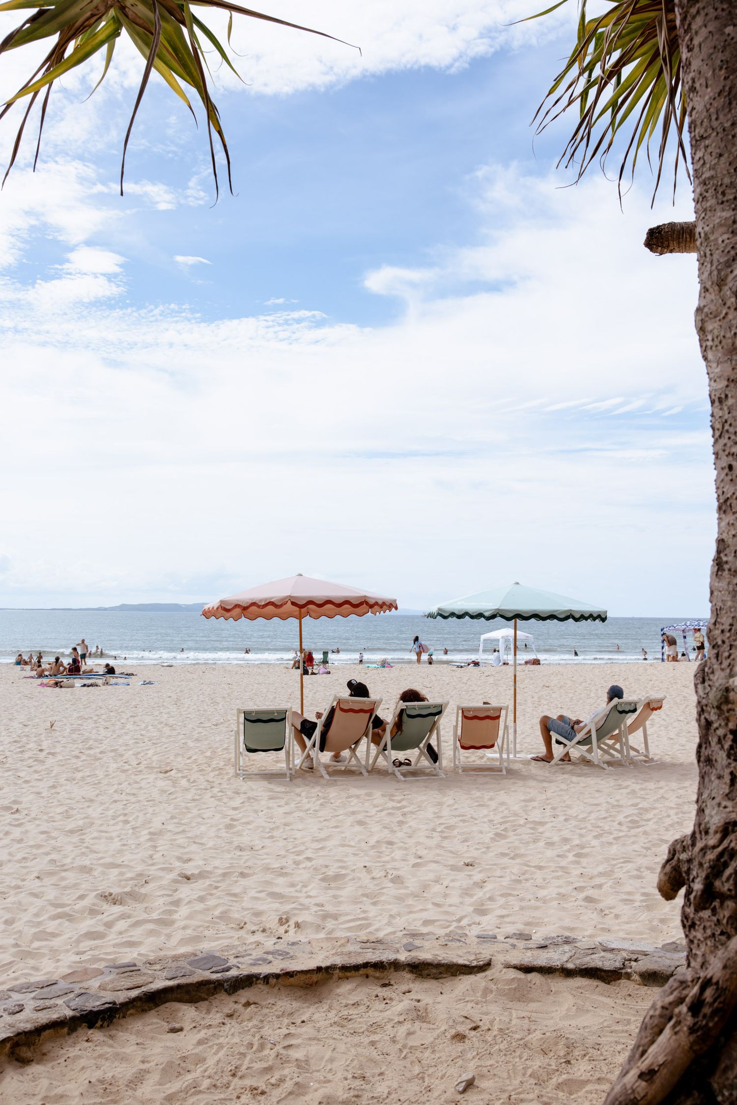 Beach chairs and umbrellas line a tropical shoreline with palm trees on a sunny day.