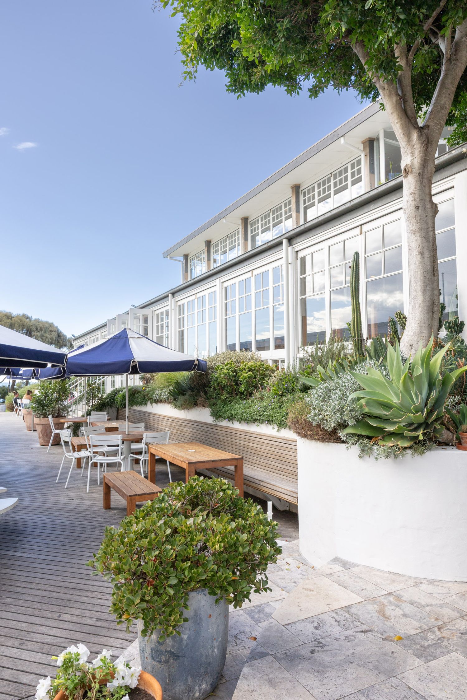 Modern waterfront restaurant exterior with blue umbrellas and coastal landscaping on wooden deck.