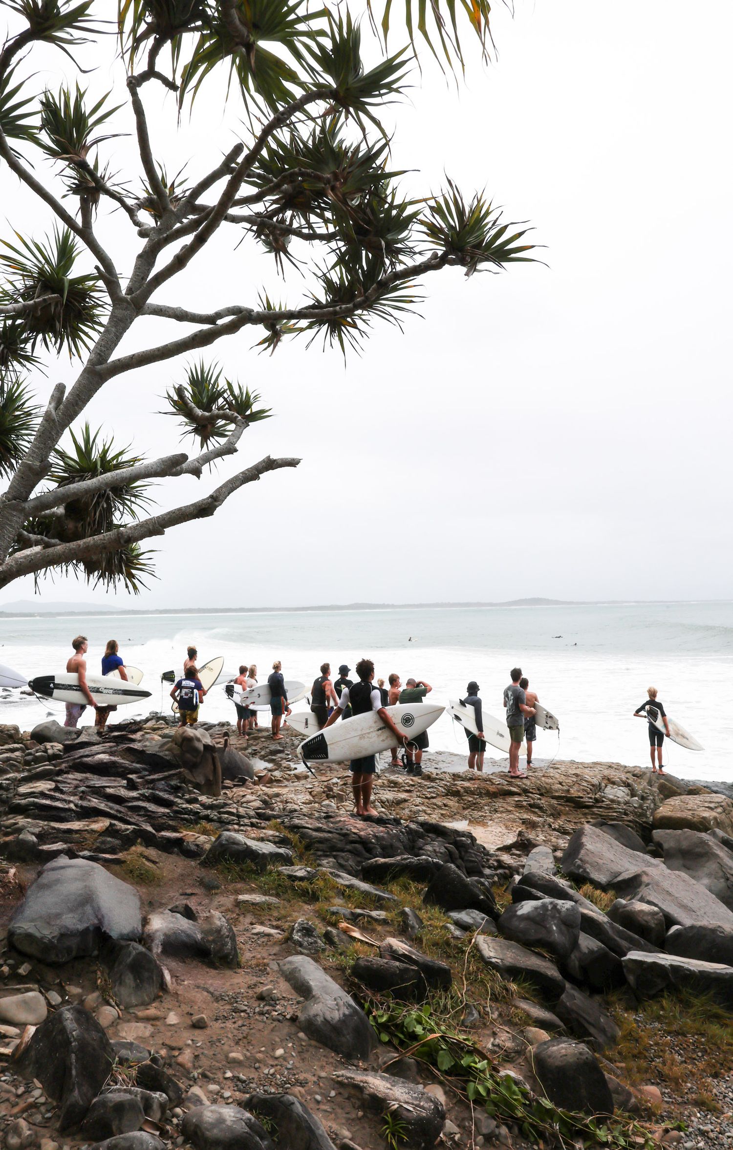 Surfers gather on rocky outcrop beneath pandanus tree overlooking ocean.