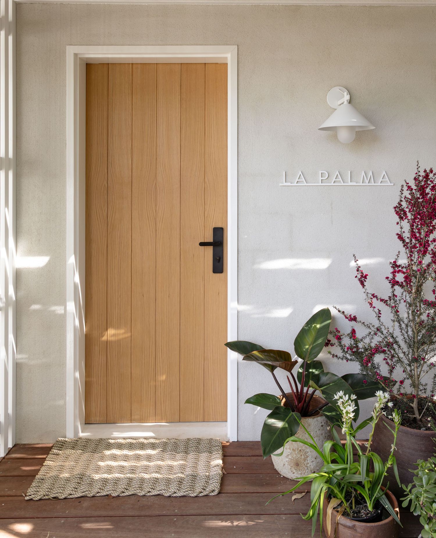Minimalist interior hallway with wooden door, white walls, and decorative plants casting soft shadows.