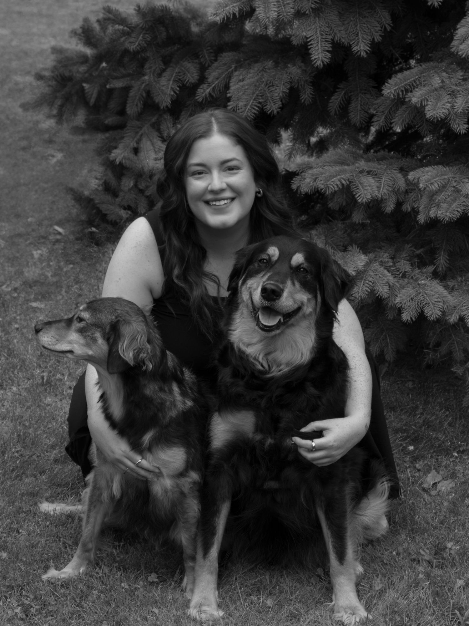 A series of black and white photos showing a person with a large German Shepherd dog in an outdoor setting.