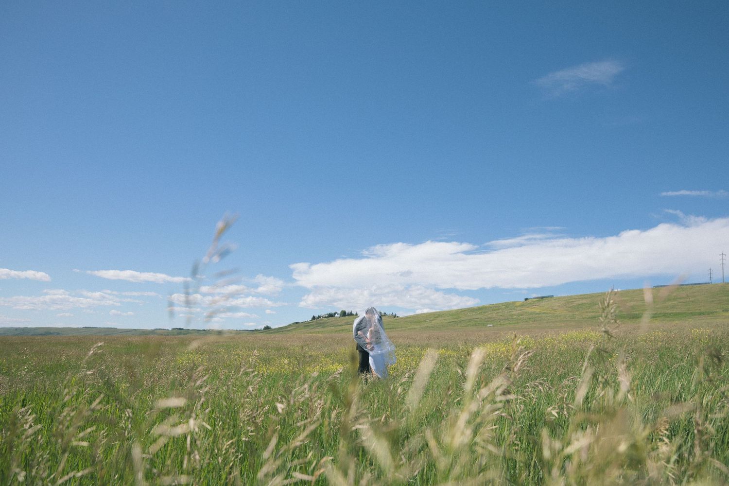 Couple embracing in a vast green meadow under a bright blue sky with rolling hills in the background.