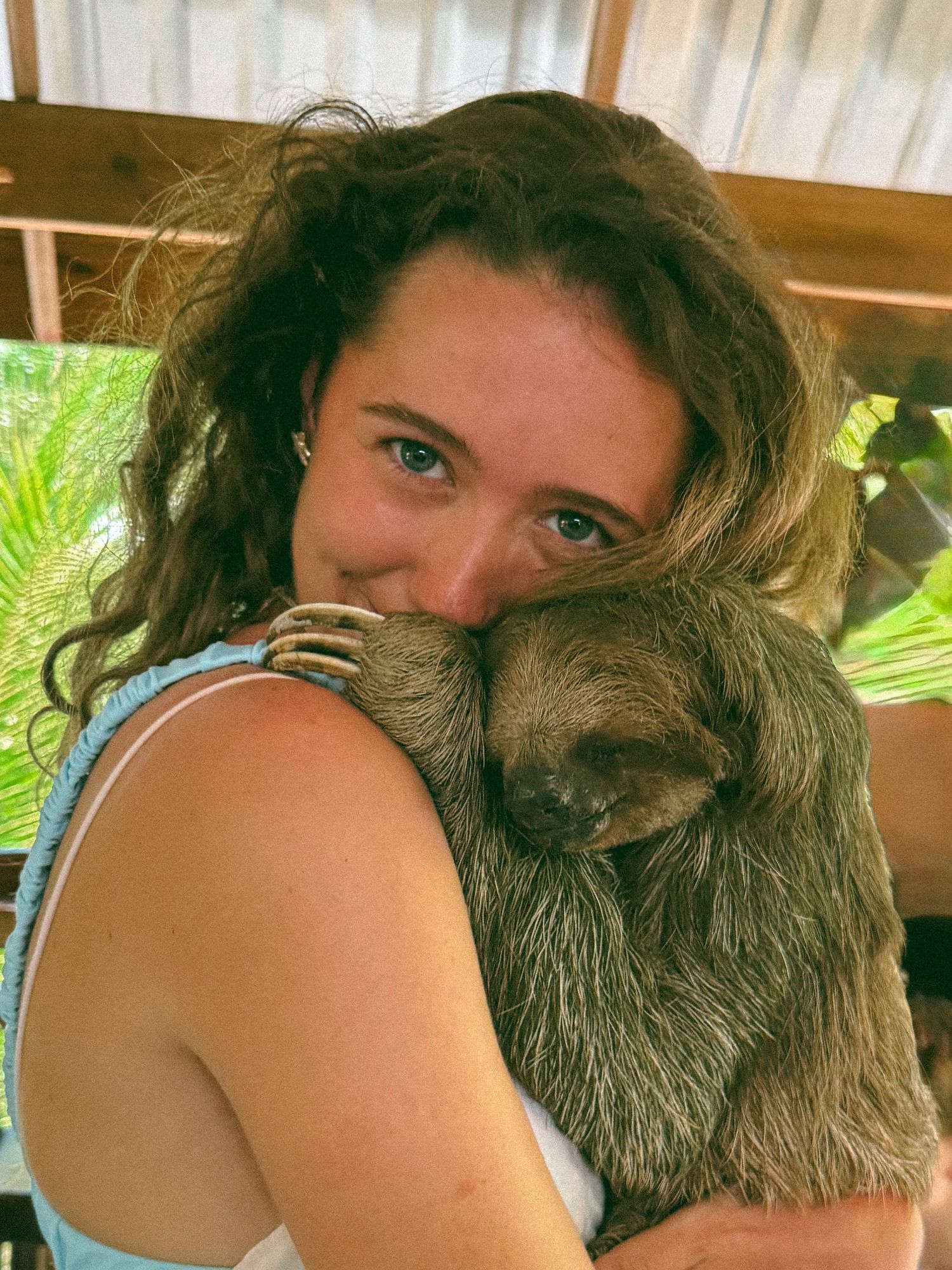 Person hugging and smiling with a sleepy-looking sloth in a tropical setting.
