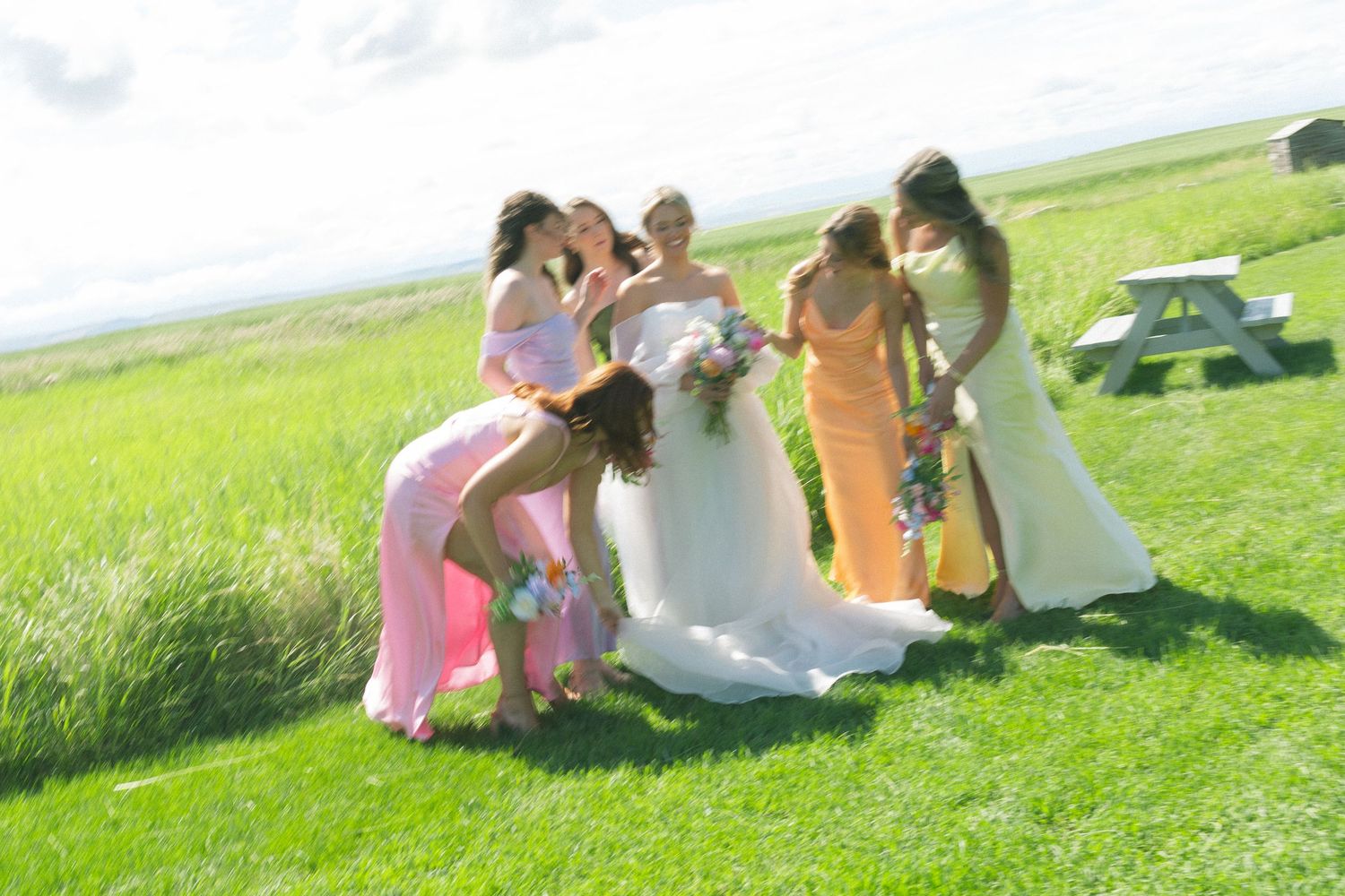 A group of people sitting together on a grassy hillside enjoying a sunny day outdoors.