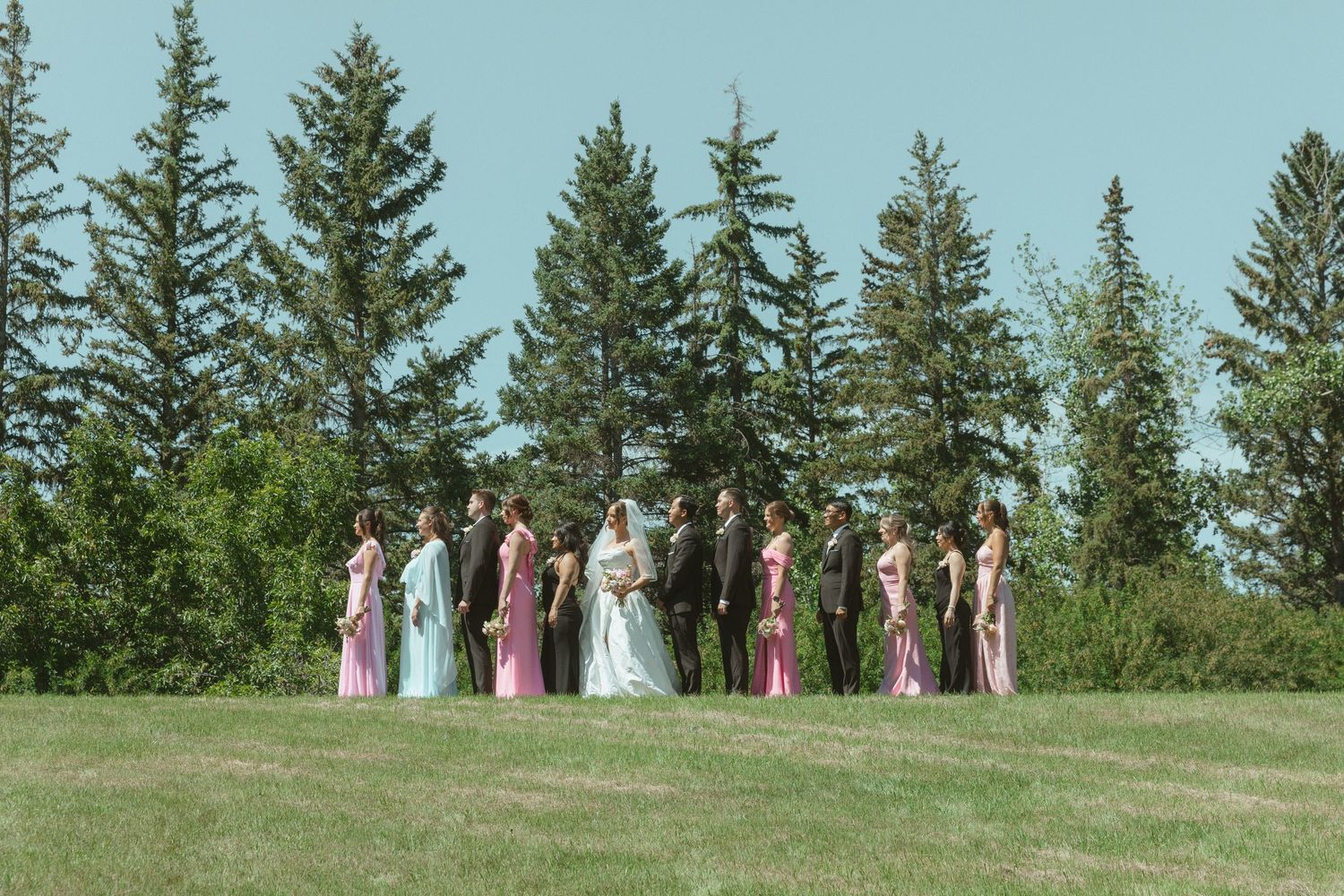 Wedding party in pink and green gowns with groomsmen standing on a green lawn surrounded by tall evergreen trees.