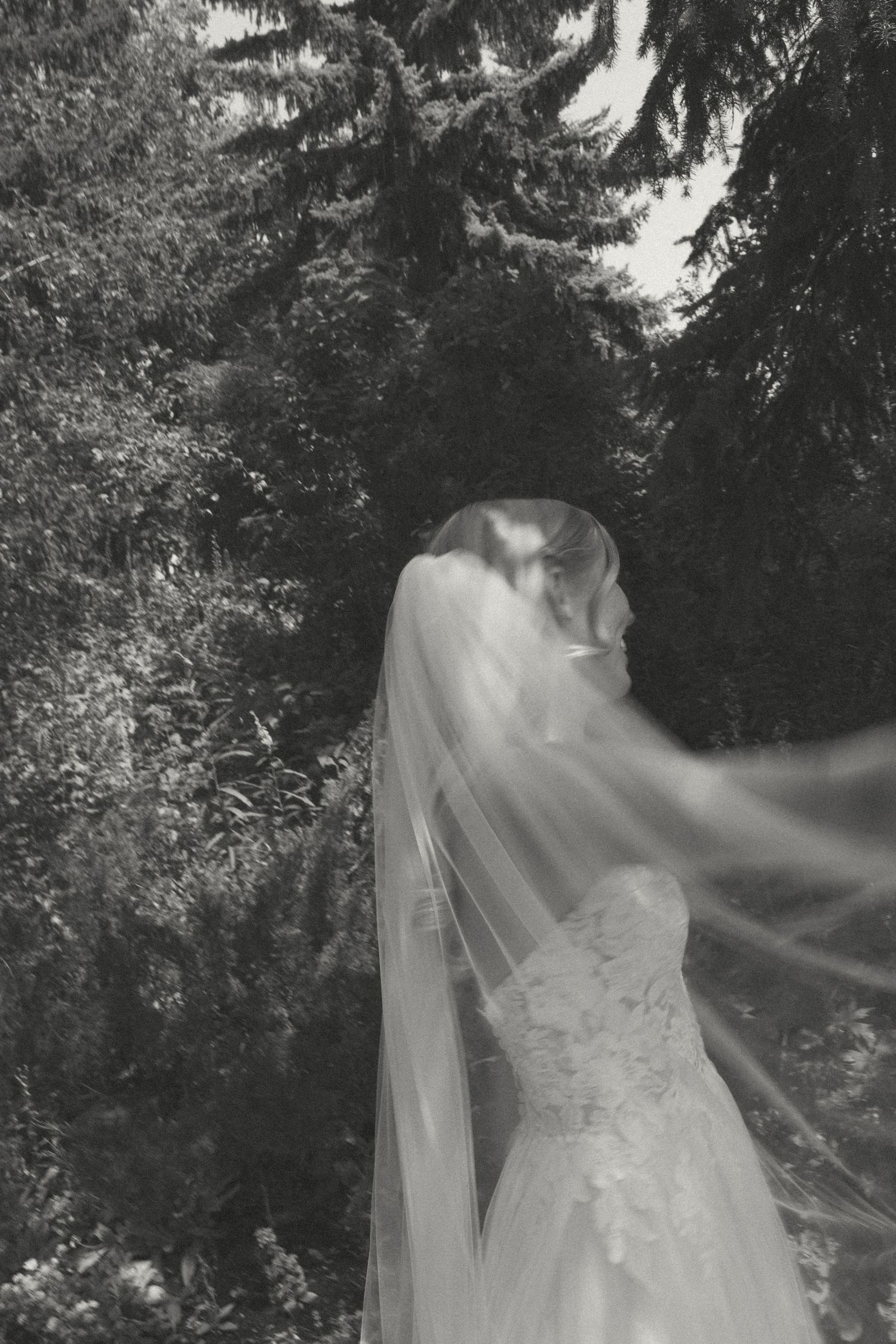 A flowing wedding veil catches the breeze in a black and white portrait against evergreen trees.