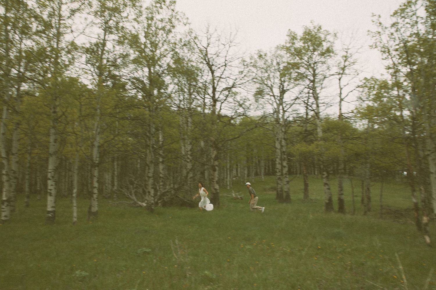 Vintage sepia photograph shows figures in white on grassy hillside among birch trees in a rustic woodland setting.
