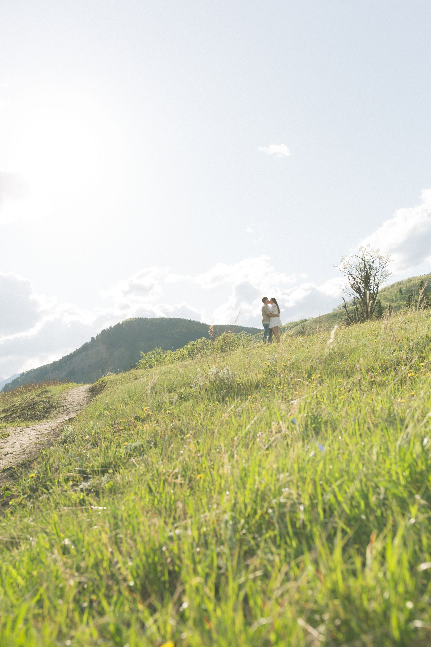 A grassy hillside meadow stretches toward distant mountains under a bright summer sky.