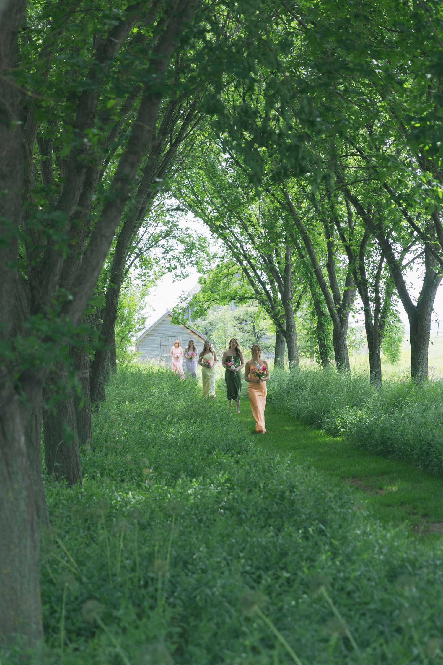 A tree-lined path with lush greenery creates a natural outdoor wedding venue setting.