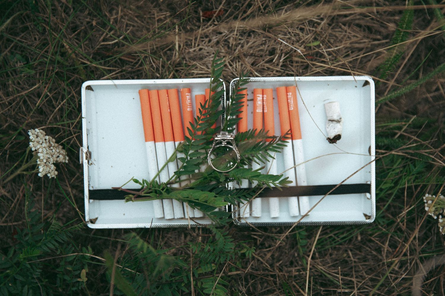 Birds-eye view of an open white electric junction box with orange power connections and moss growing on it outdoors.