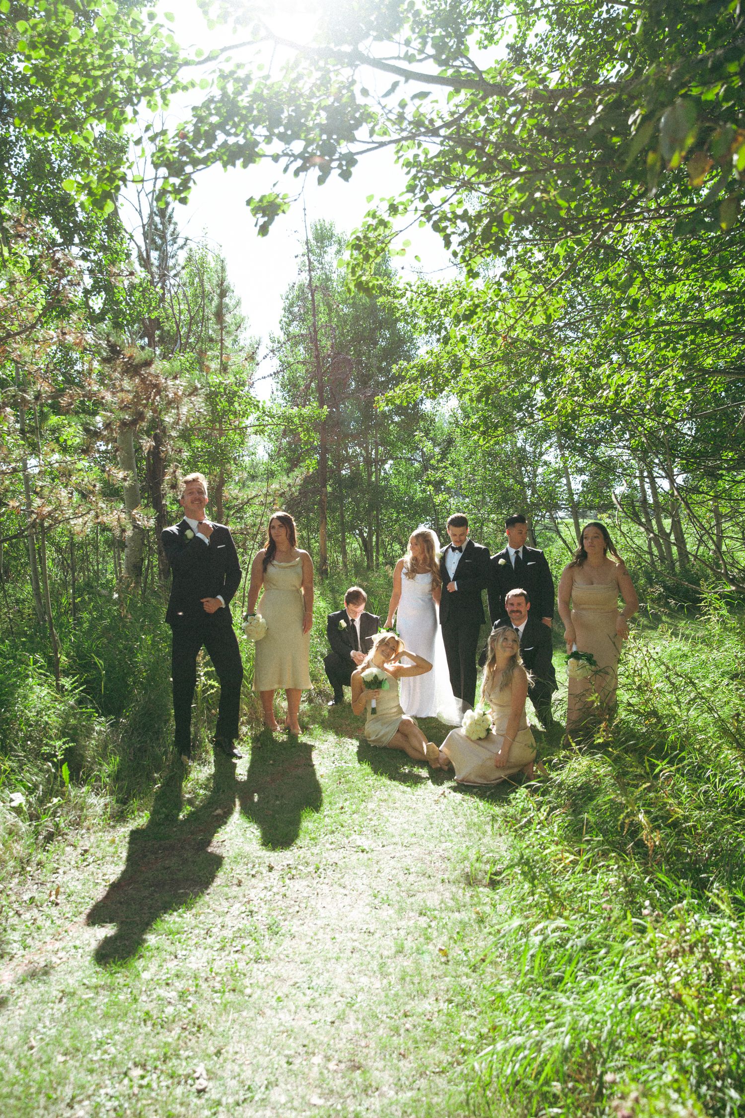 Wedding party posing in sunlit wooded area wearing light colored attire.