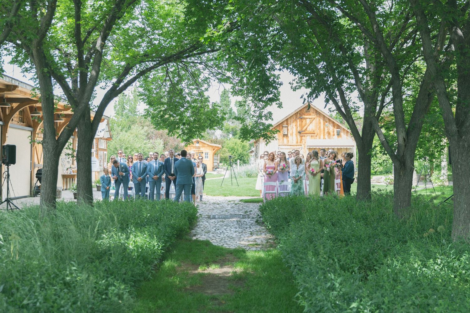 A tree-lined pathway creates a natural green tunnel perfect for outdoor wedding photography.