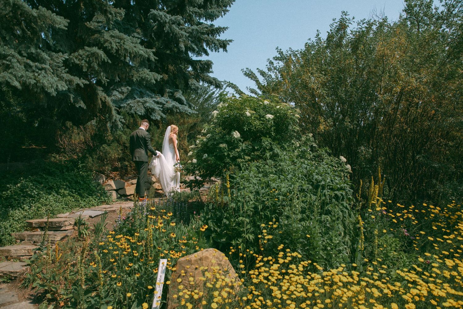 Bride in white dress poses near vibrant yellow wildflowers in a garden setting.