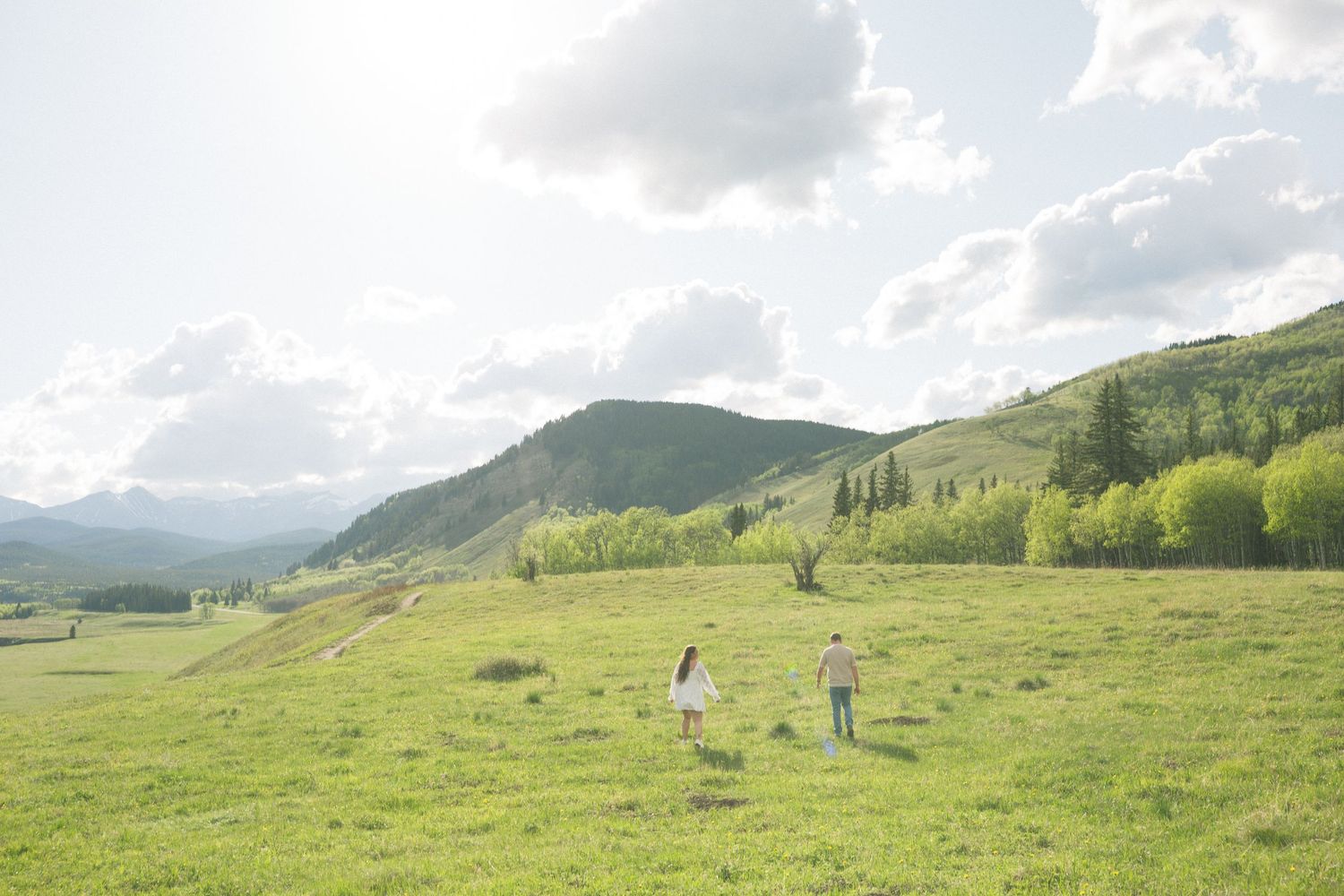 Vast green alpine meadow with distant mountains and scattered clouds on a sunny afternoon.