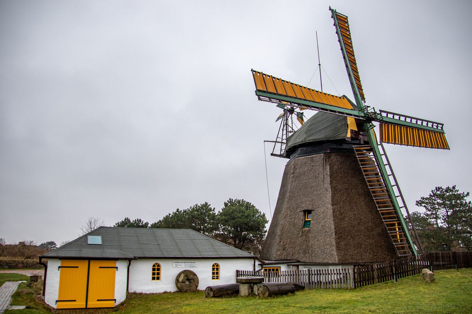 Traditional Dutch windmill with yellow sails stands beside white building in rural landscape.