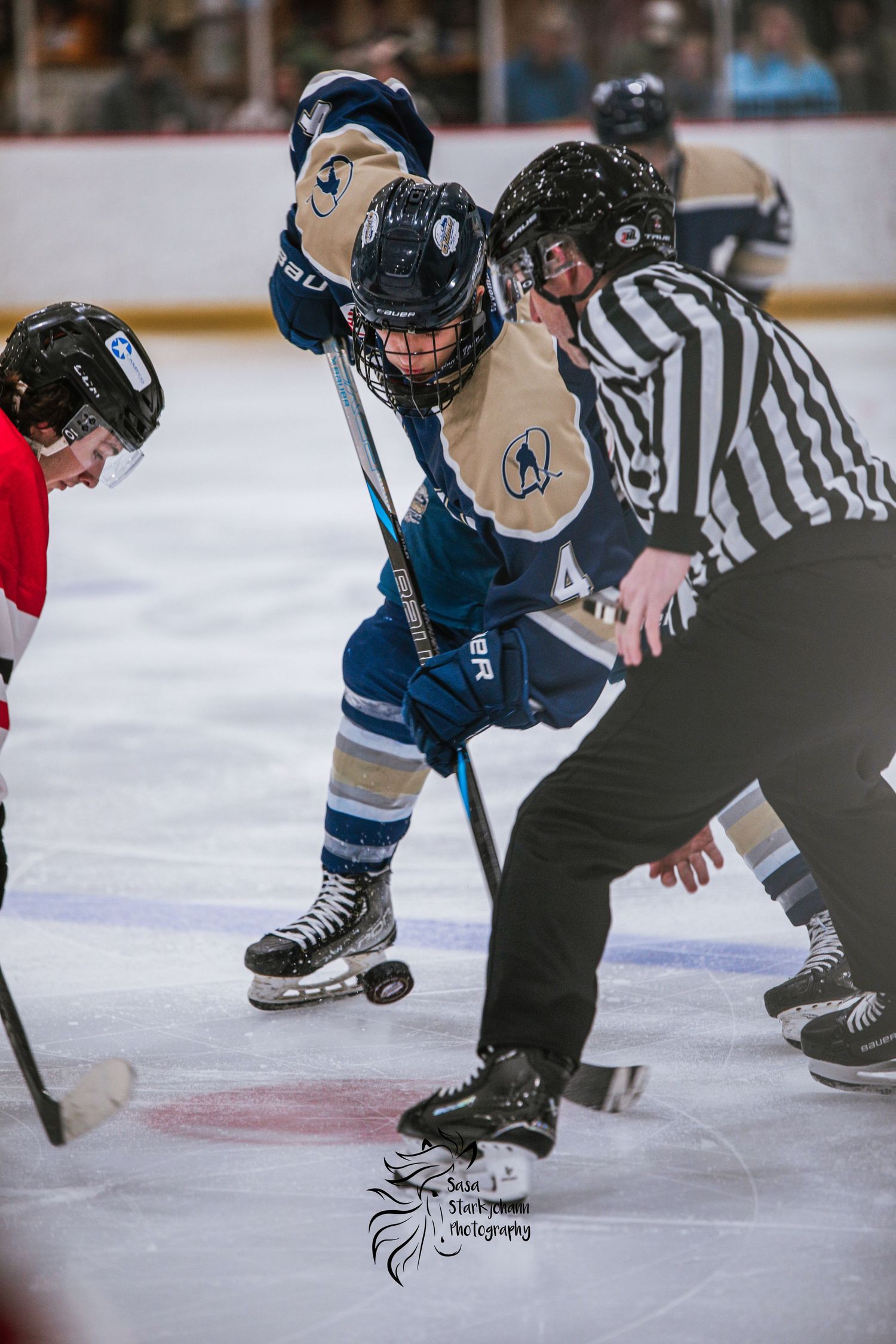 Hockey players and referee gather for face-off during competitive game.