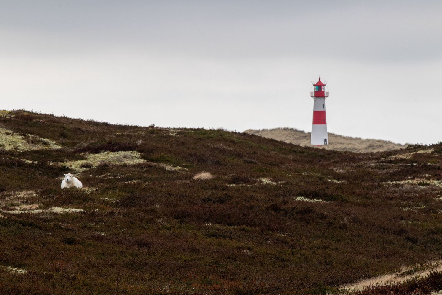 Red and white lighthouse stands atop barren brown hillside in remote location.