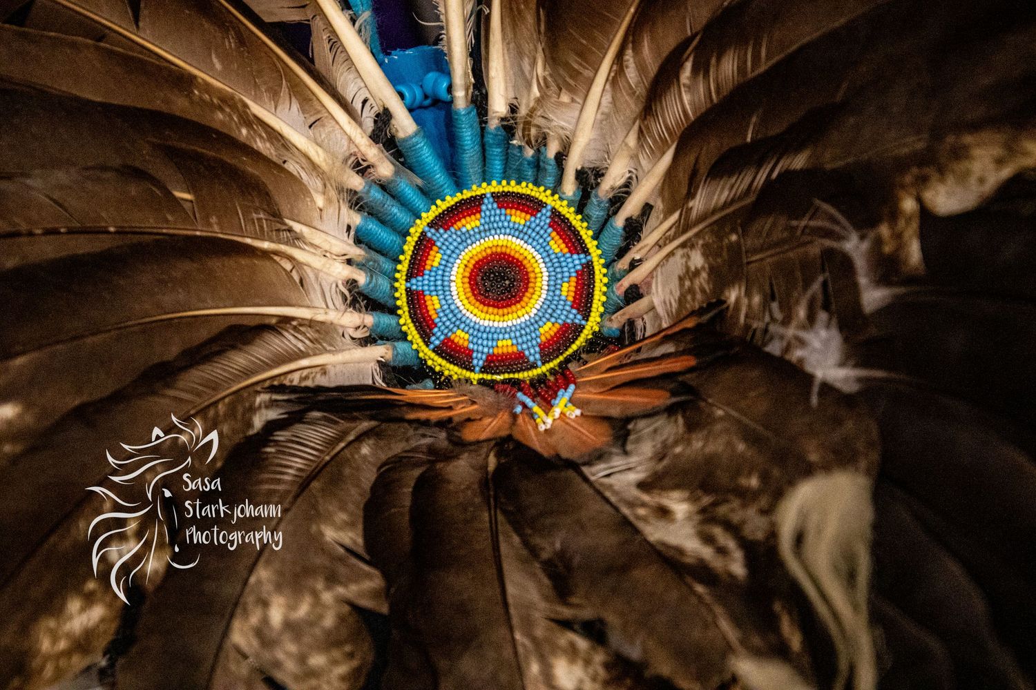 Close-up of beaded medallion surrounded by eagle feathers in traditional Native American regalia.