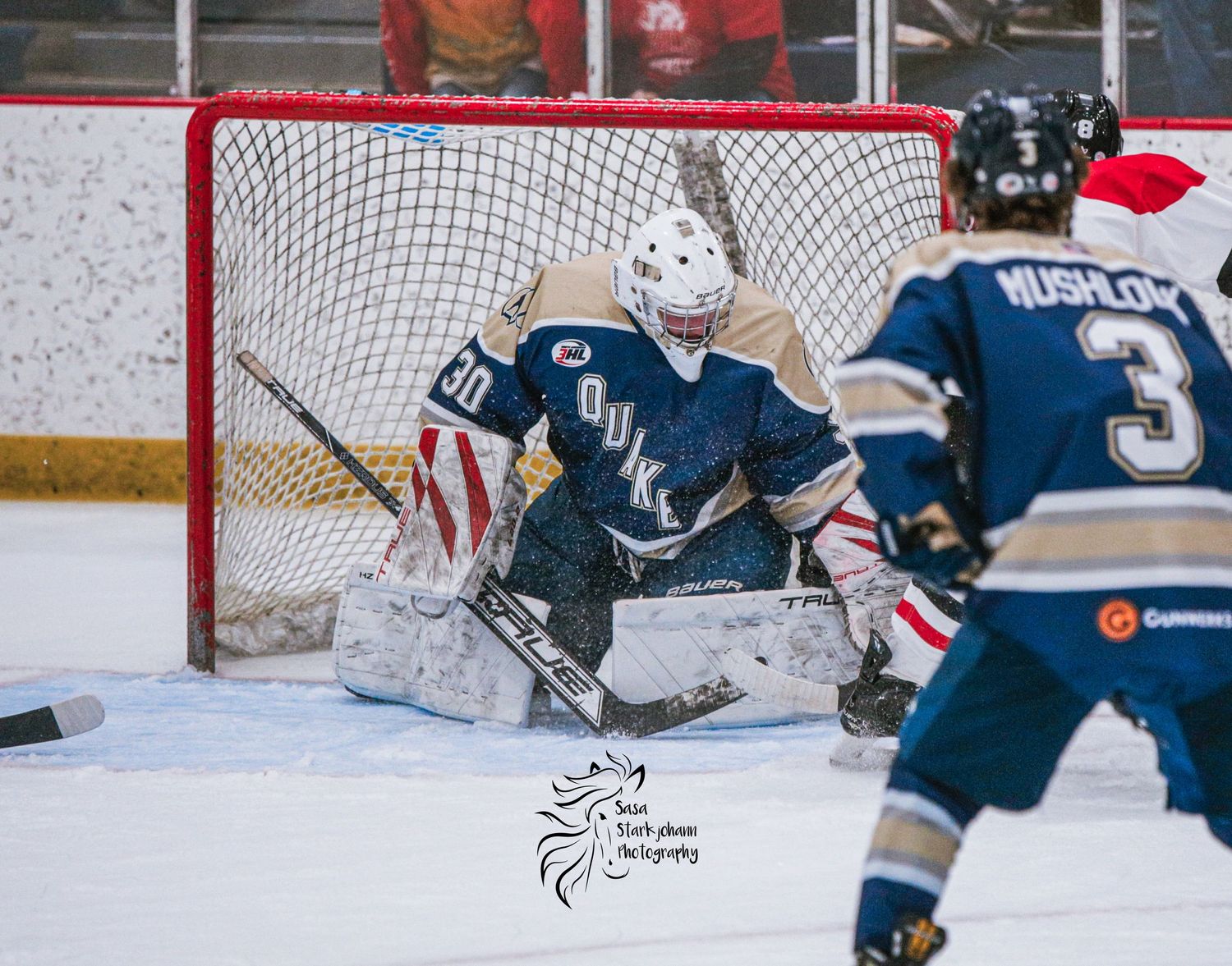 Hockey goalie in defensive position guarding net during game.