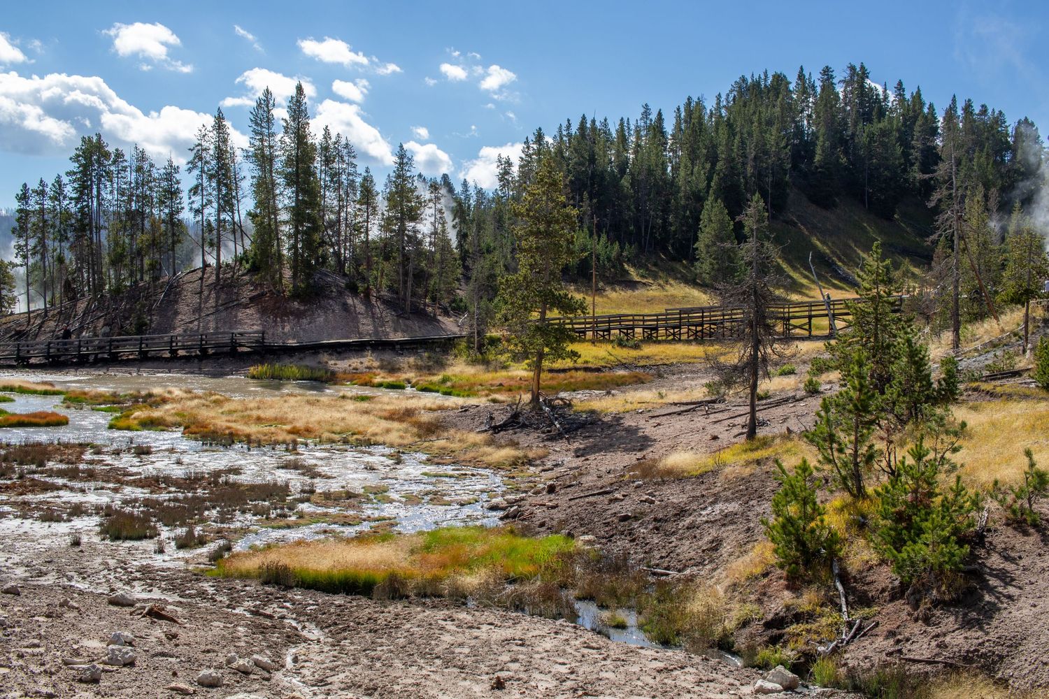 Rustic wooden buildings near geothermal features in Yellowstone with forest backdrop.