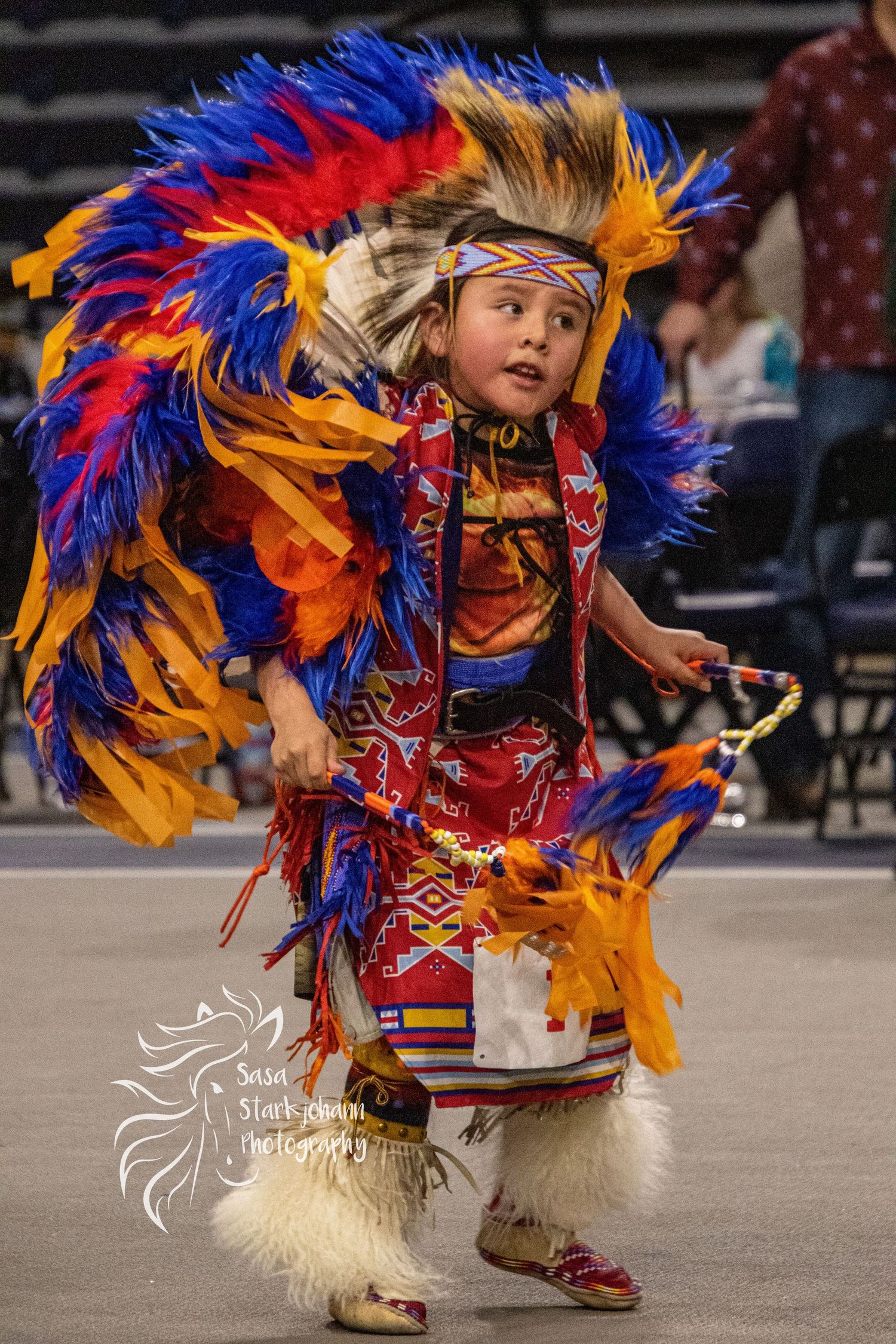 Young dancer in vibrant feathered headdress and traditional regalia performing at indoor powwow.