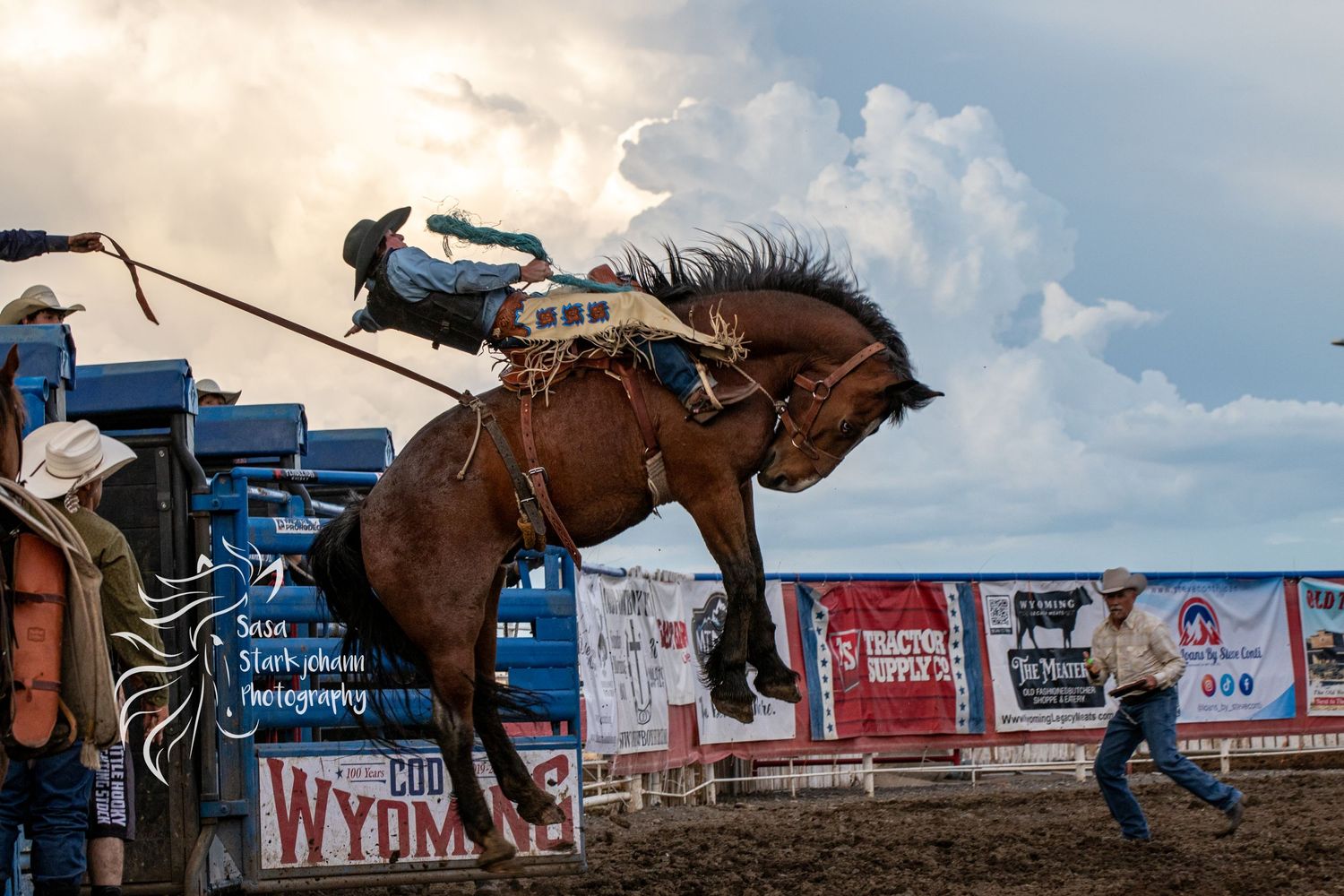 Bronc rider on bucking horse during rodeo competition with dramatic cloudy sky.