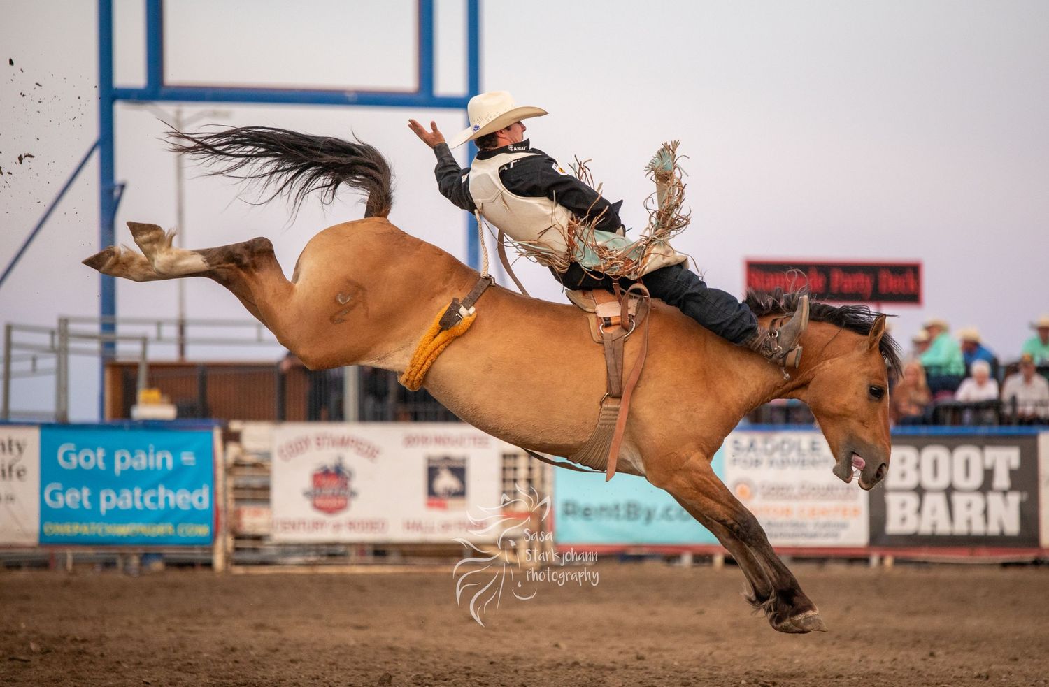 Cowboy riding a bucking bronco horse at a rodeo competition with Boot Barn advertisement in background.