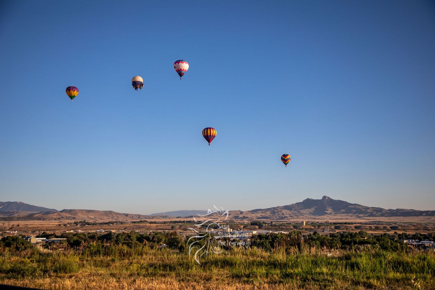 Hot air balloons float over the desert landscape against a clear blue sky during a balloon festival in New Mexico.