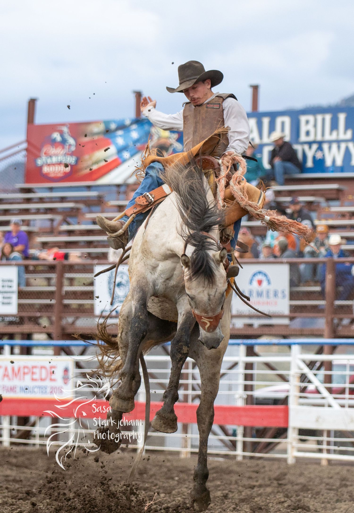 Bronc rider competes in rodeo event on bucking horse against arena backdrop.