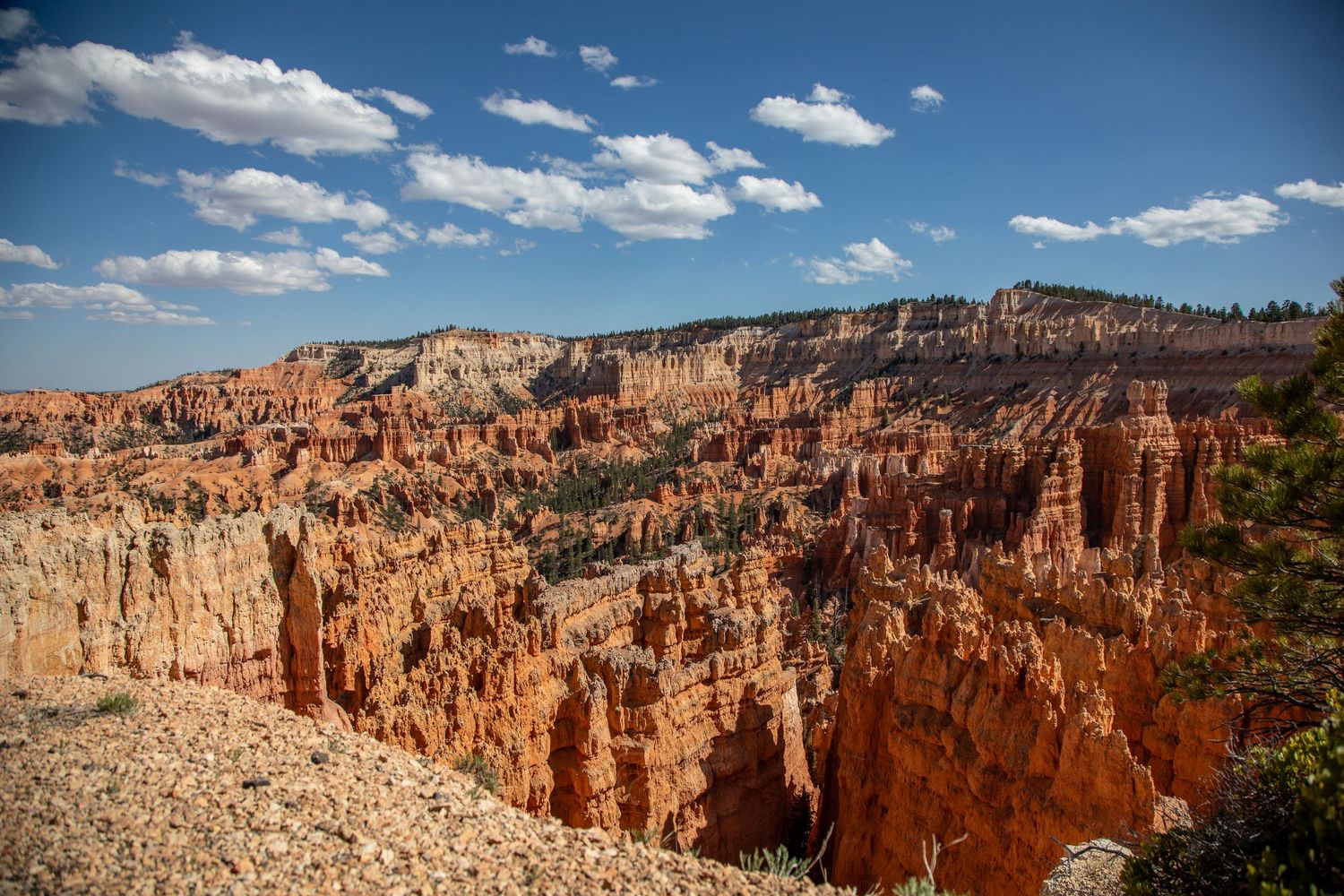 Scenic overlook of orange rock formations and hoodoos in Bryce Canyon National Park under bright blue skies with clouds.