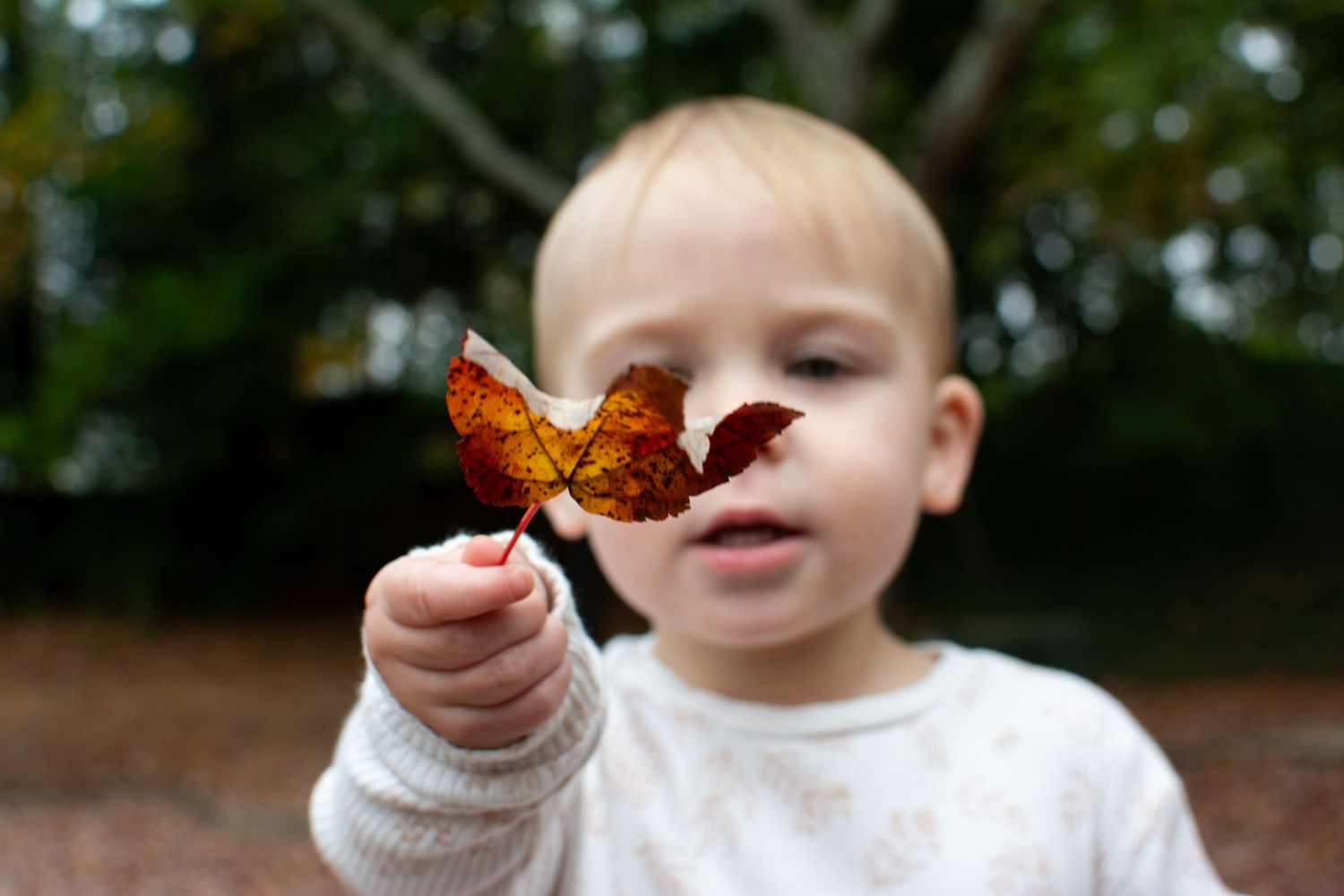 Kristen Blankinship Photography