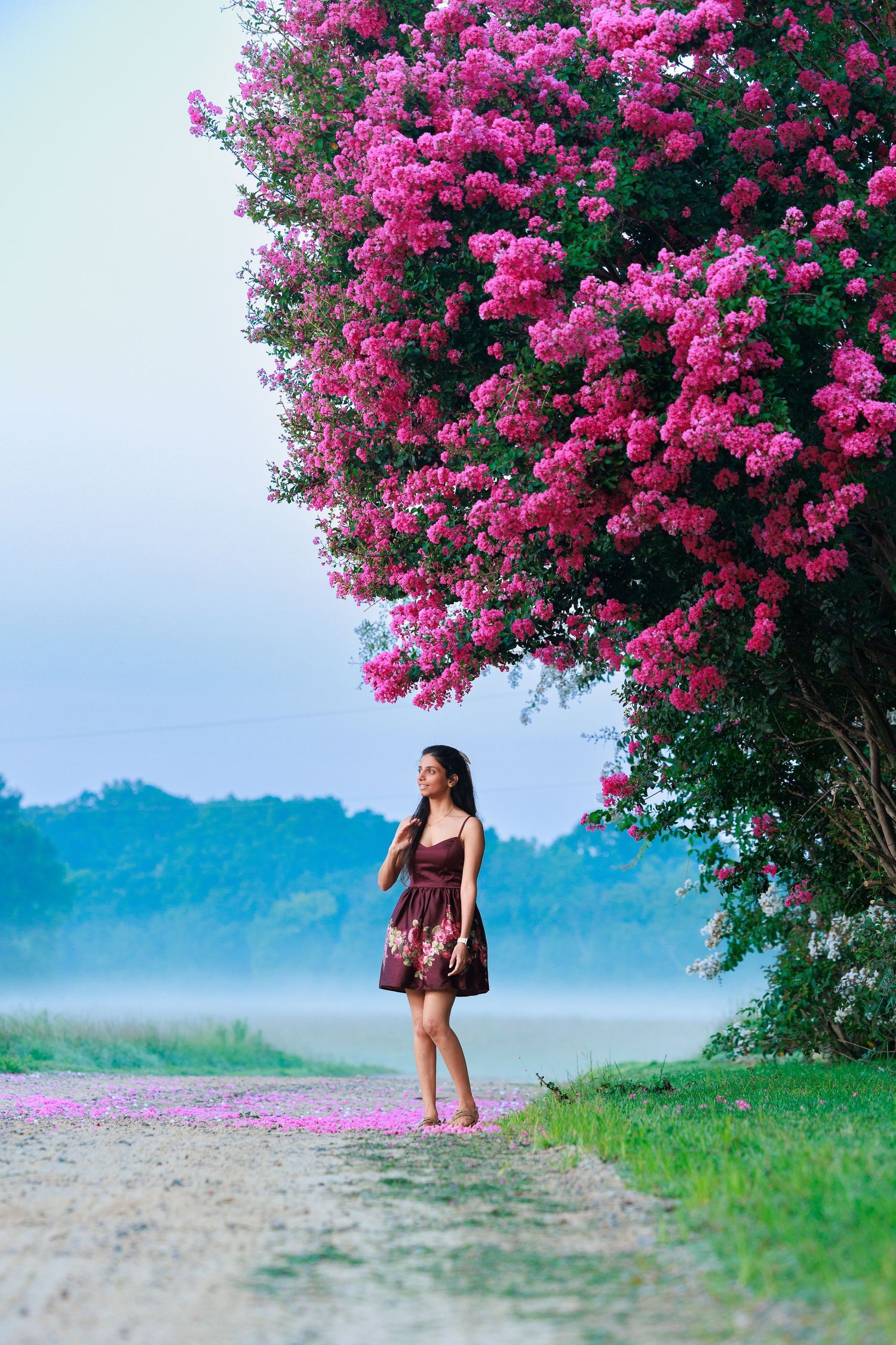 Woman in purple dress standing beneath blooming pink bougainvillea tree on misty morning.