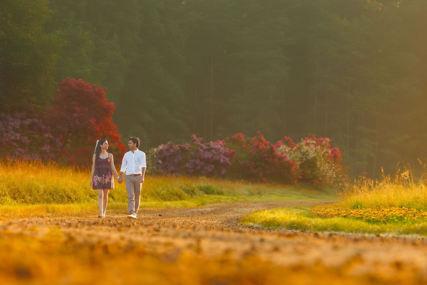 Two people walking hand in hand on a dirt path at golden hour with autumn foliage in the background.