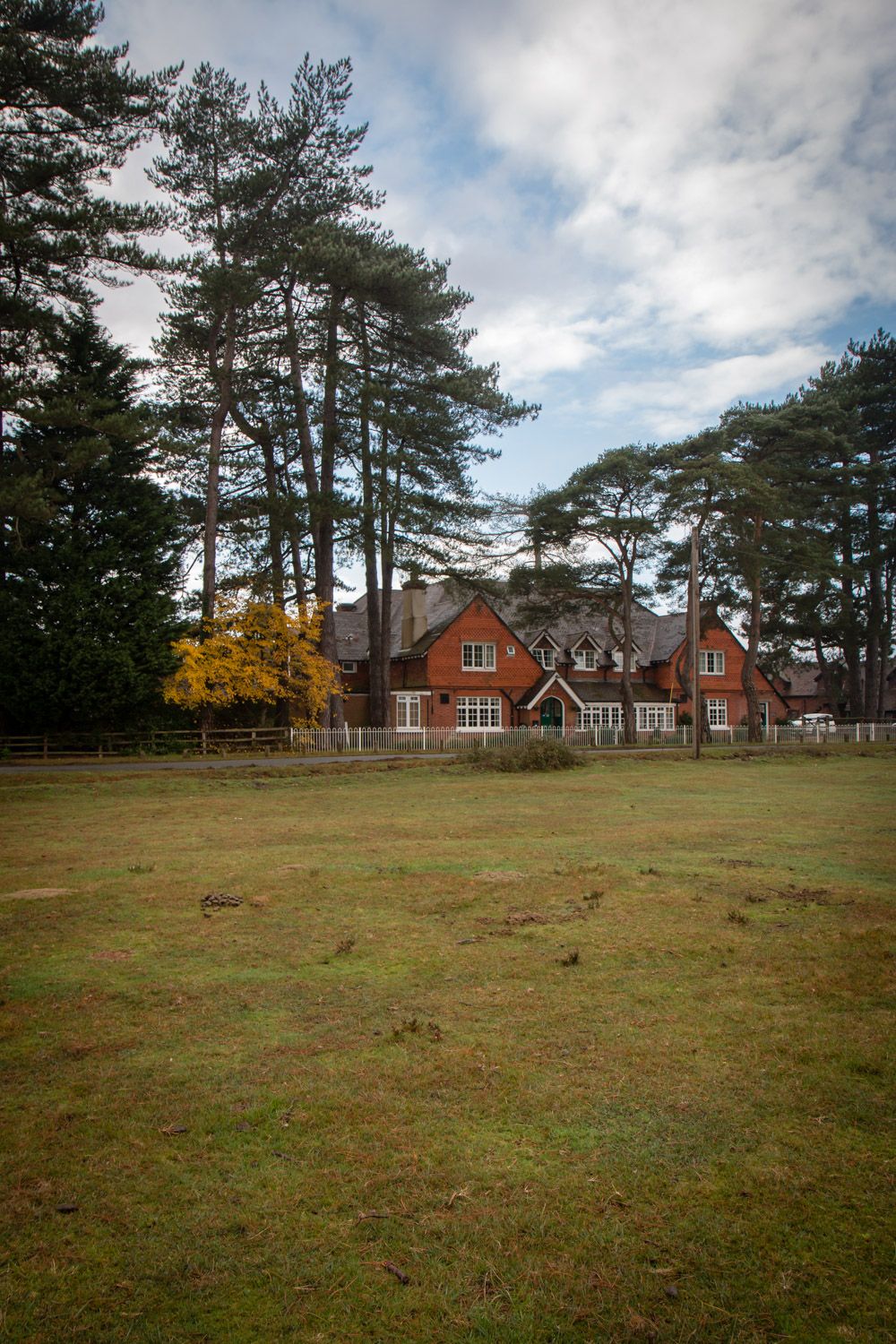 A red brick country house sits amid tall pine trees and green fields with a cloudy sky above.