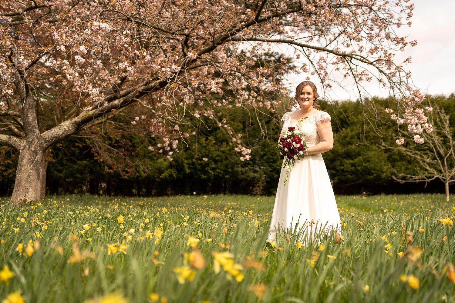 Spring wedding scene in a meadow filled with yellow wildflowers under blooming cherry blossom trees.