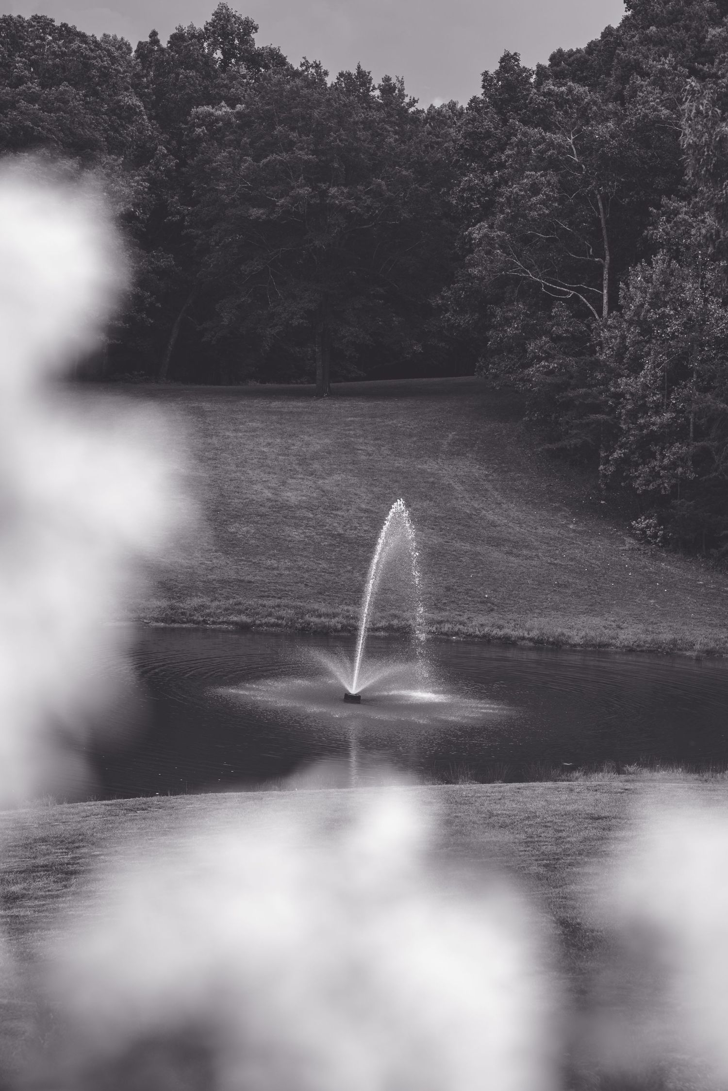 Black and white photo of a water fountain in a serene pond surrounded by lush trees and green grass.