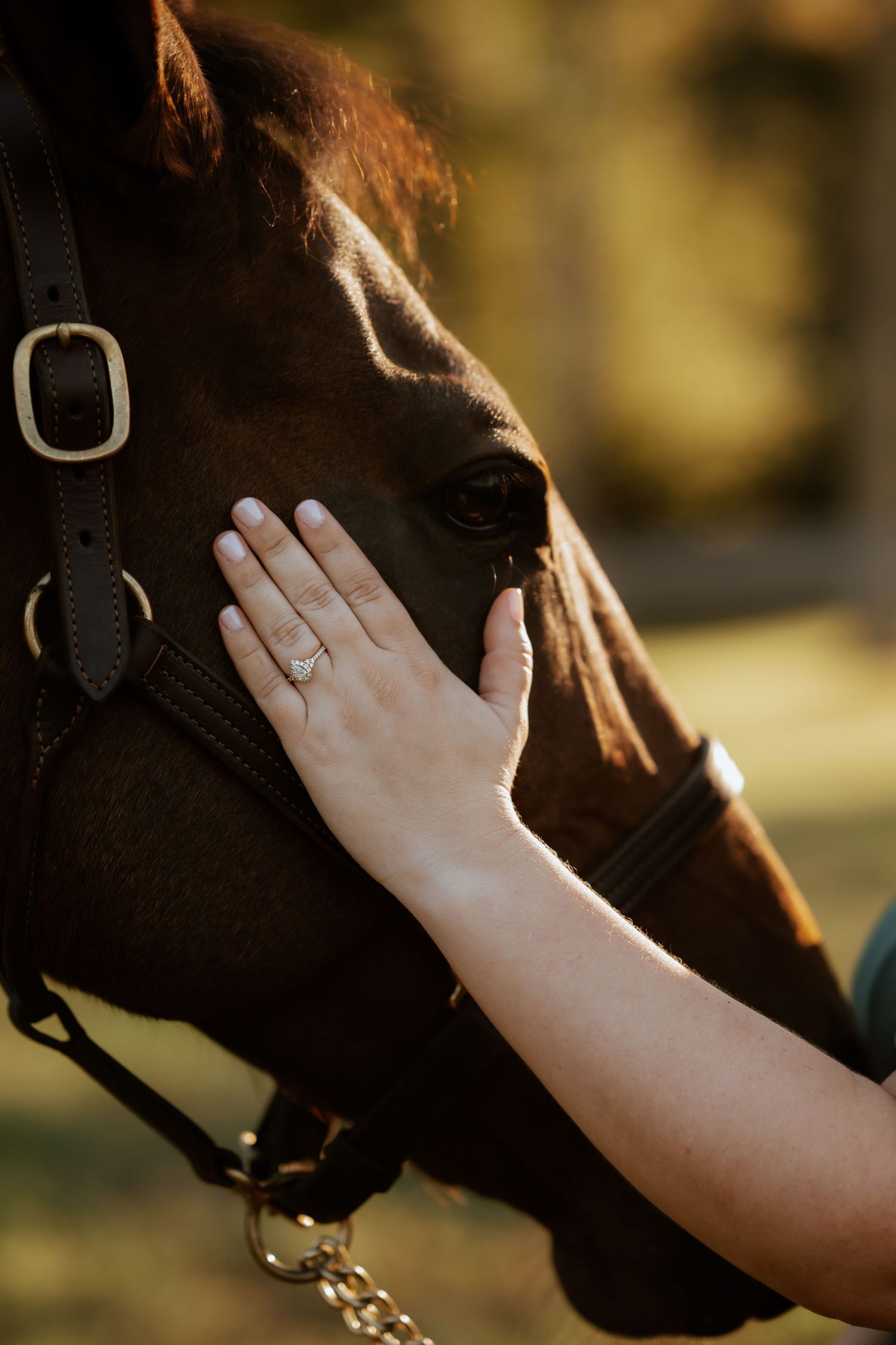 Hand wearing engagement ring gently touching a brown horse's face with bridle.