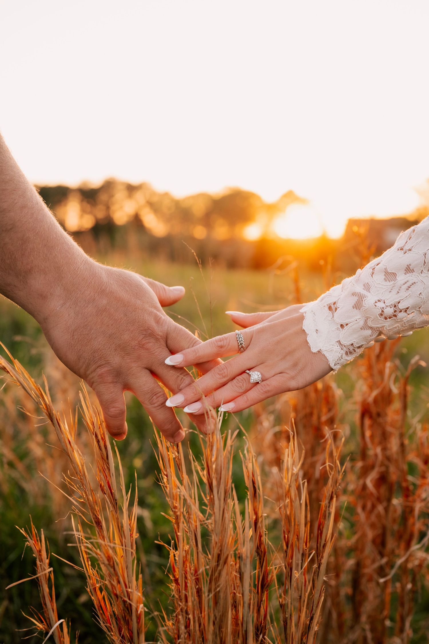 Two hands wearing wedding rings touch gently against golden grass stalks at sunset, creating a romantic silhouette. in North Georgia.