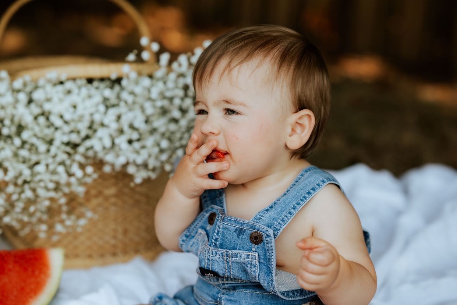A baby in denim overalls sits on a blanket outdoors enjoying slices of fresh watermelon on a sunny day.