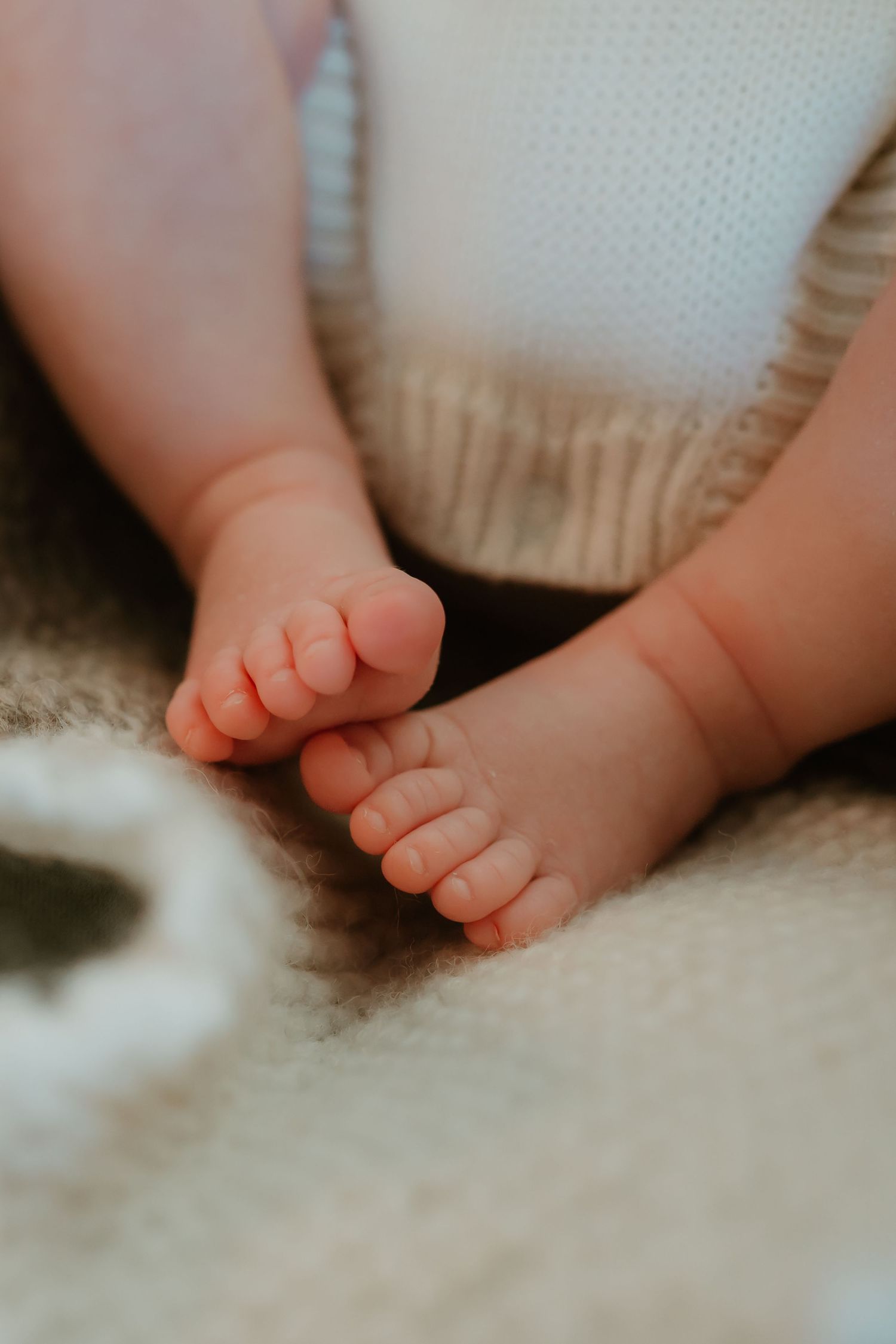 A detail shot of a newborn's feet during his in home newborn session