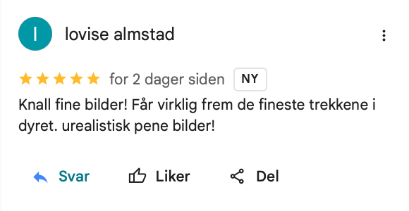 Utvalgte fotografier premiert av 35AWARDS, en internasjonal fotokonkurranse med fagjury og deltakere fra hele verden.