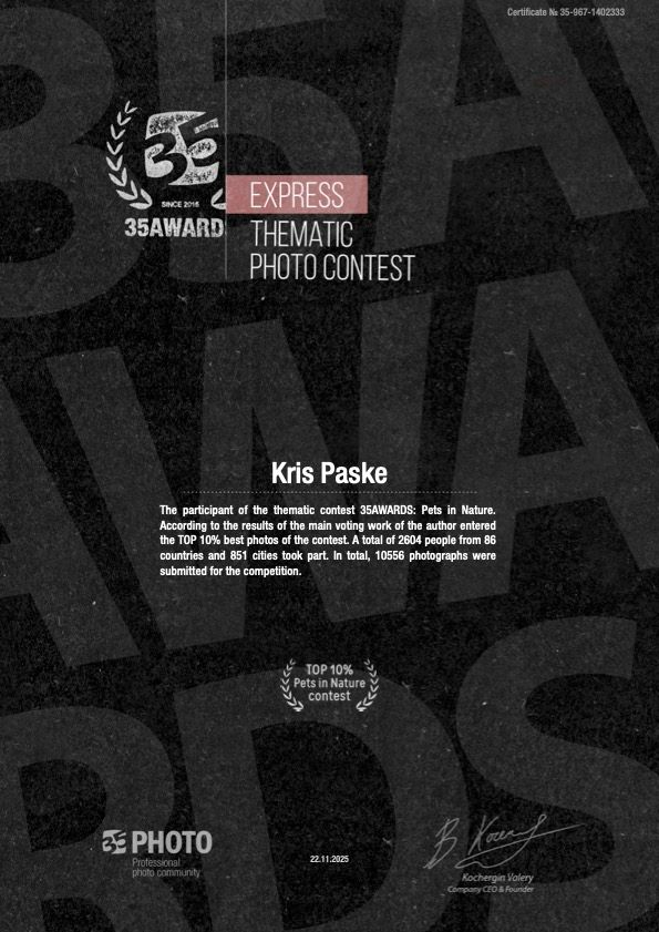 Utvalgte fotografier premiert av 35AWARDS, en internasjonal fotokonkurranse med fagjury og deltakere fra hele verden.