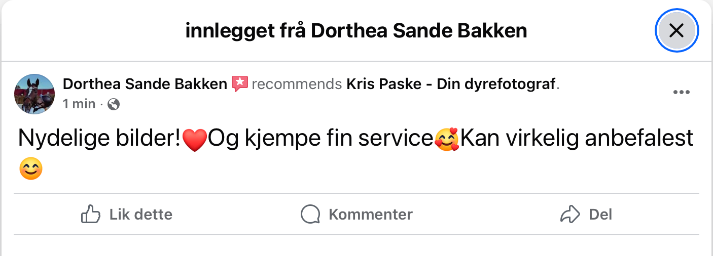 Utvalgte fotografier premiert av 35AWARDS, en internasjonal fotokonkurranse med fagjury og deltakere fra hele verden.
