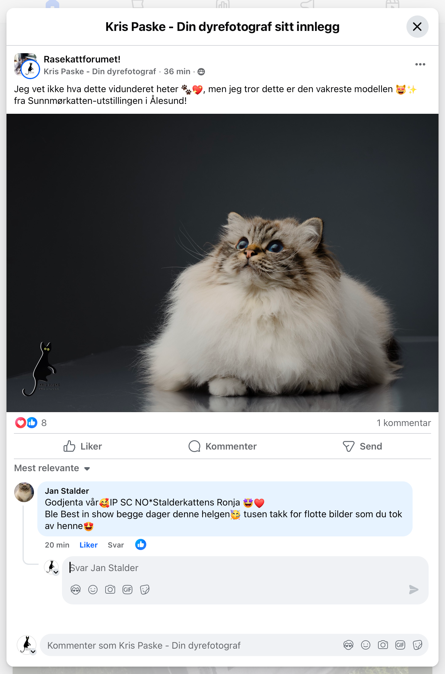 Utvalgte fotografier premiert av 35AWARDS, en internasjonal fotokonkurranse med fagjury og deltakere fra hele verden.
