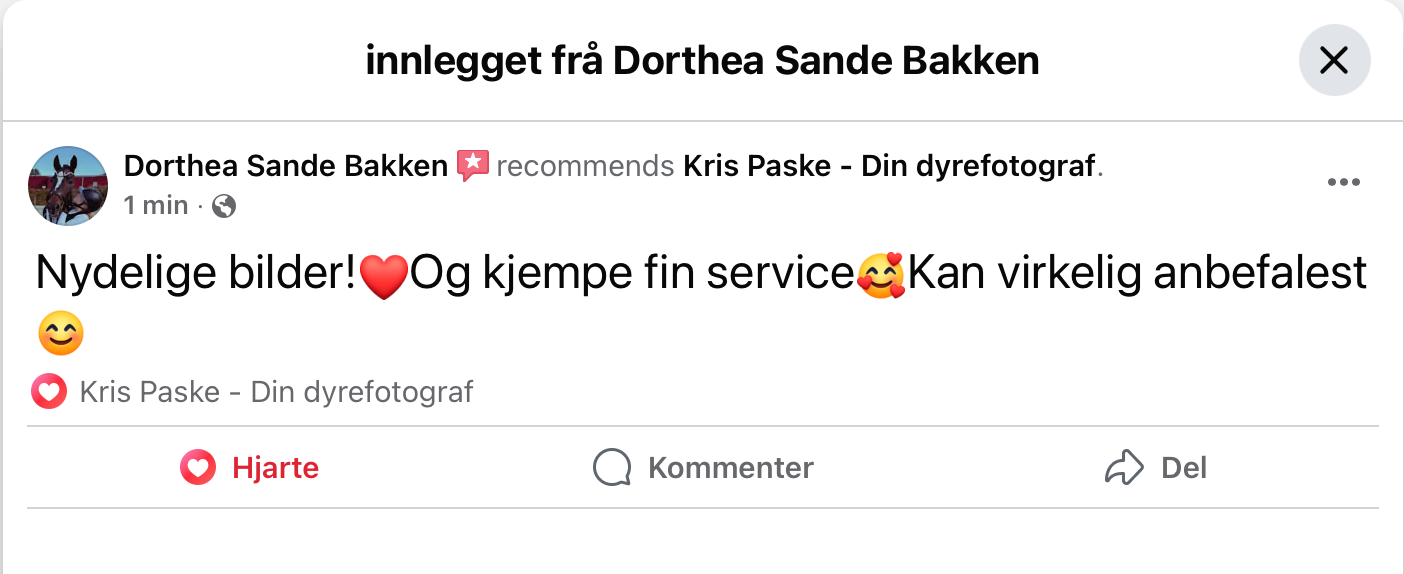 Utvalgte fotografier premiert av 35AWARDS, en internasjonal fotokonkurranse med fagjury og deltakere fra hele verden.