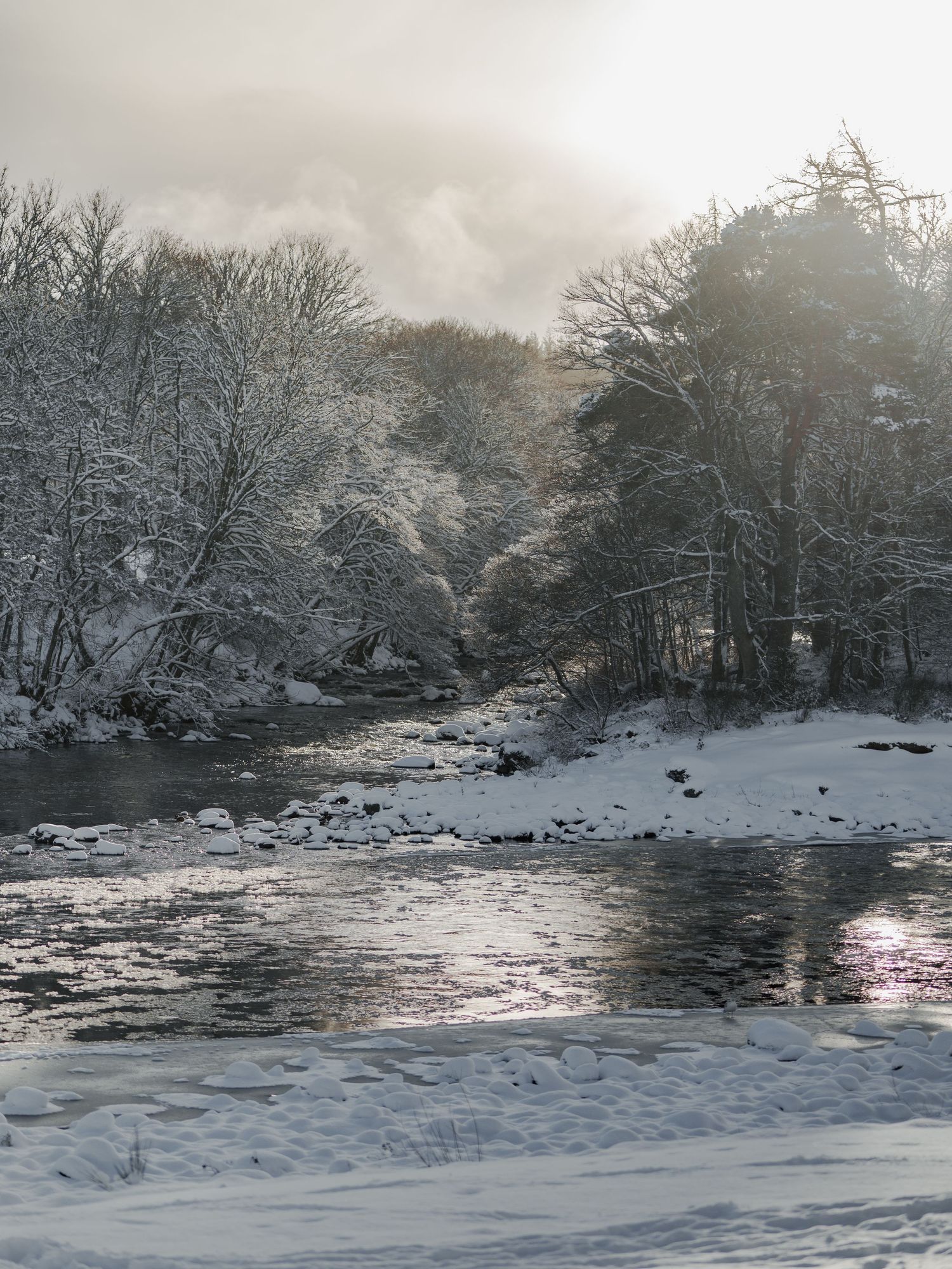 Snow-covered river landscape with frost-laden trees and misty winter sky reflecting soft sunlight on calm water.