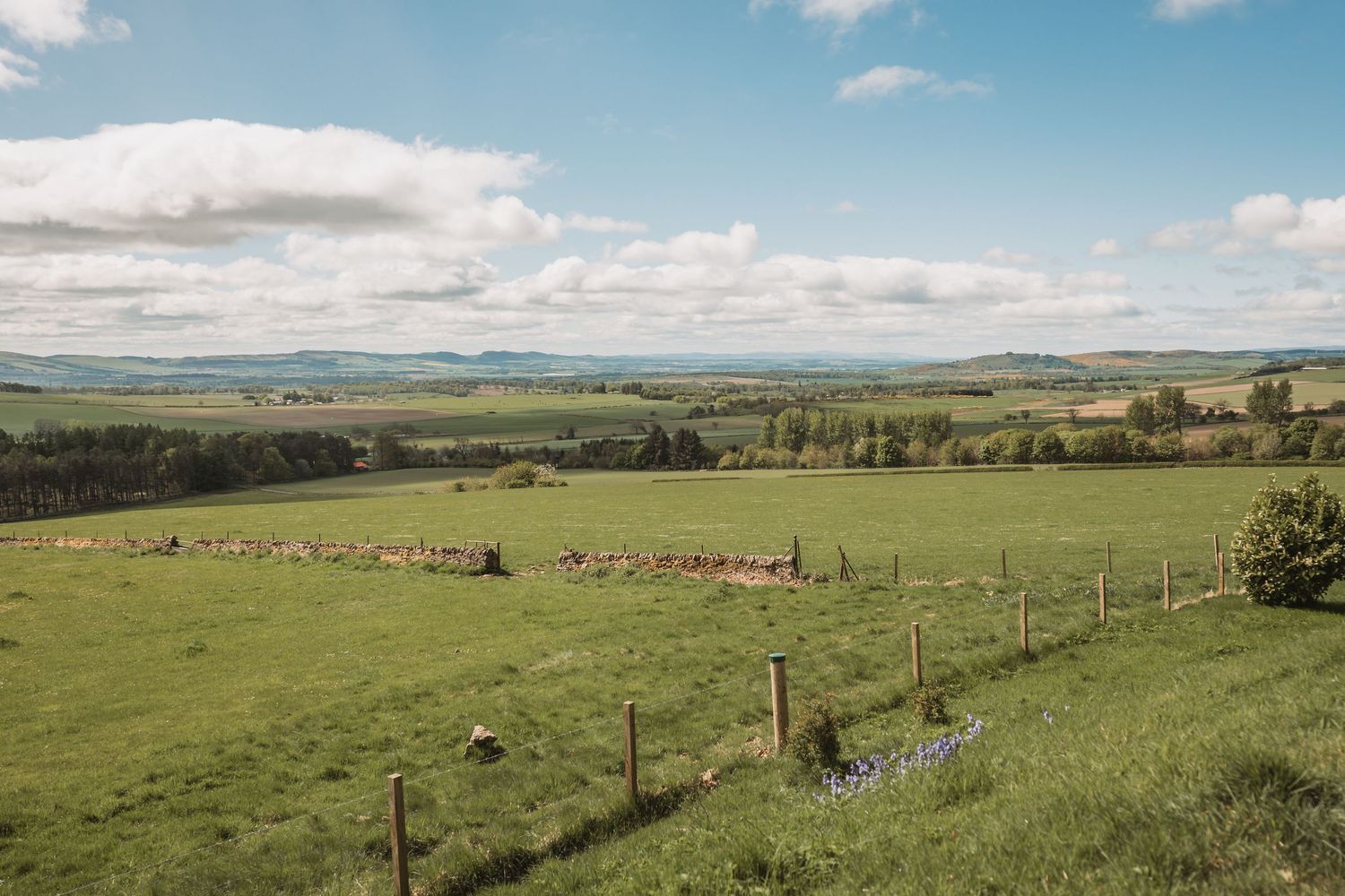 A scenic green pastoral landscape of Kinclune House with rolling hills, wooden fence posts, and puffy white clouds in a blue sky.