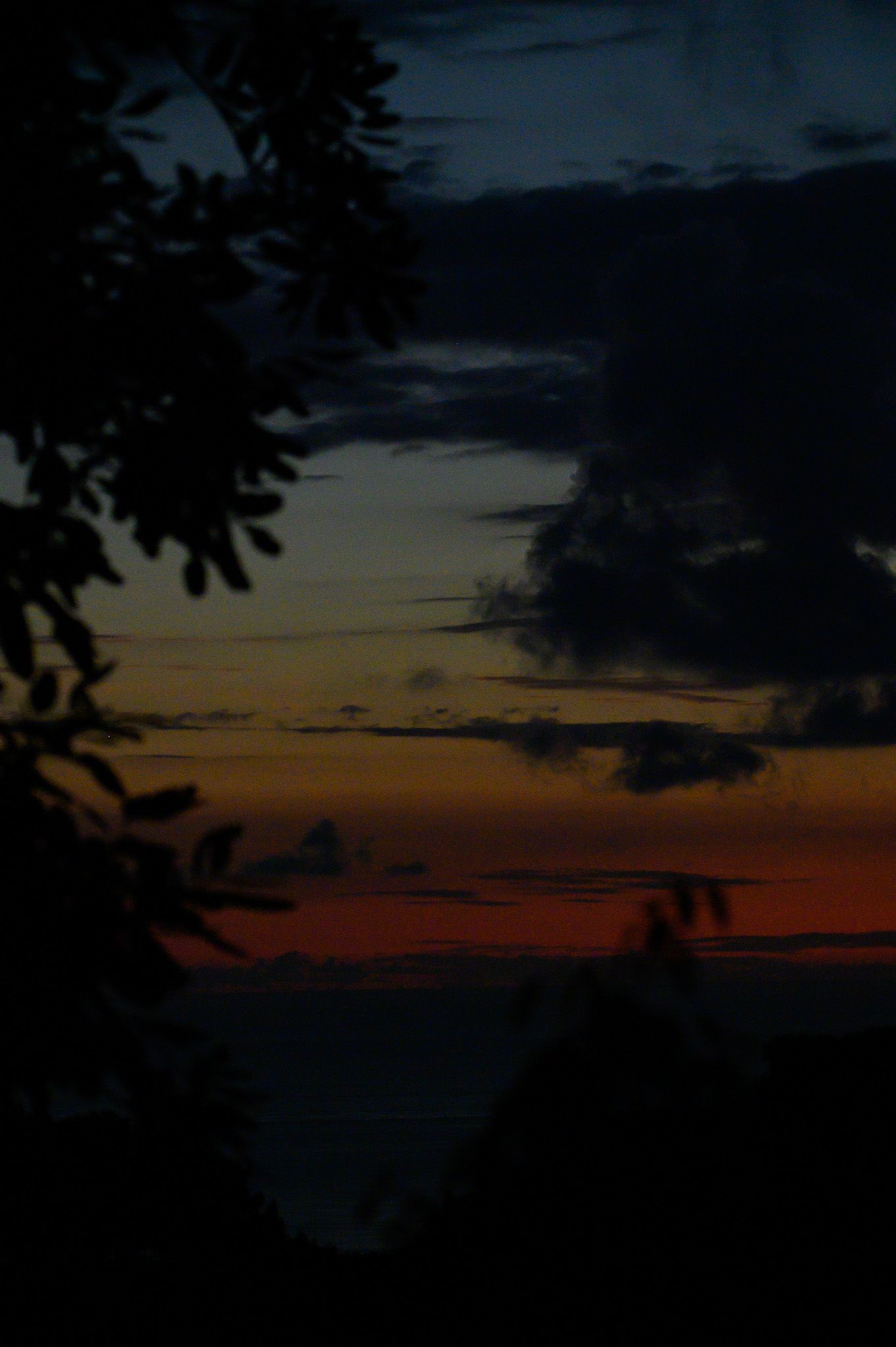Dramatic orange and purple sunset sky with dark tree silhouettes in the foreground.