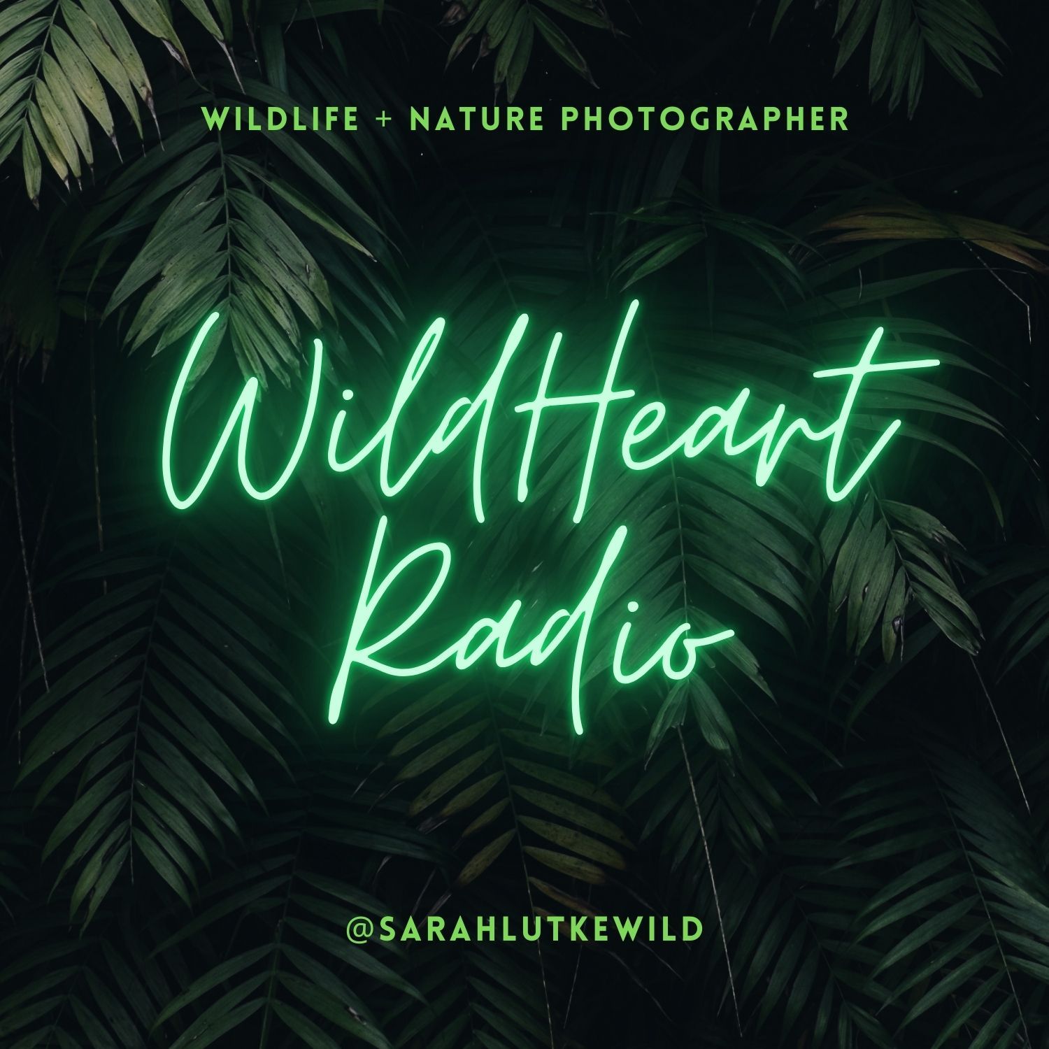 Neon green 'Wild Heart Radio' sign glowing against dark tropical palm leaves background.