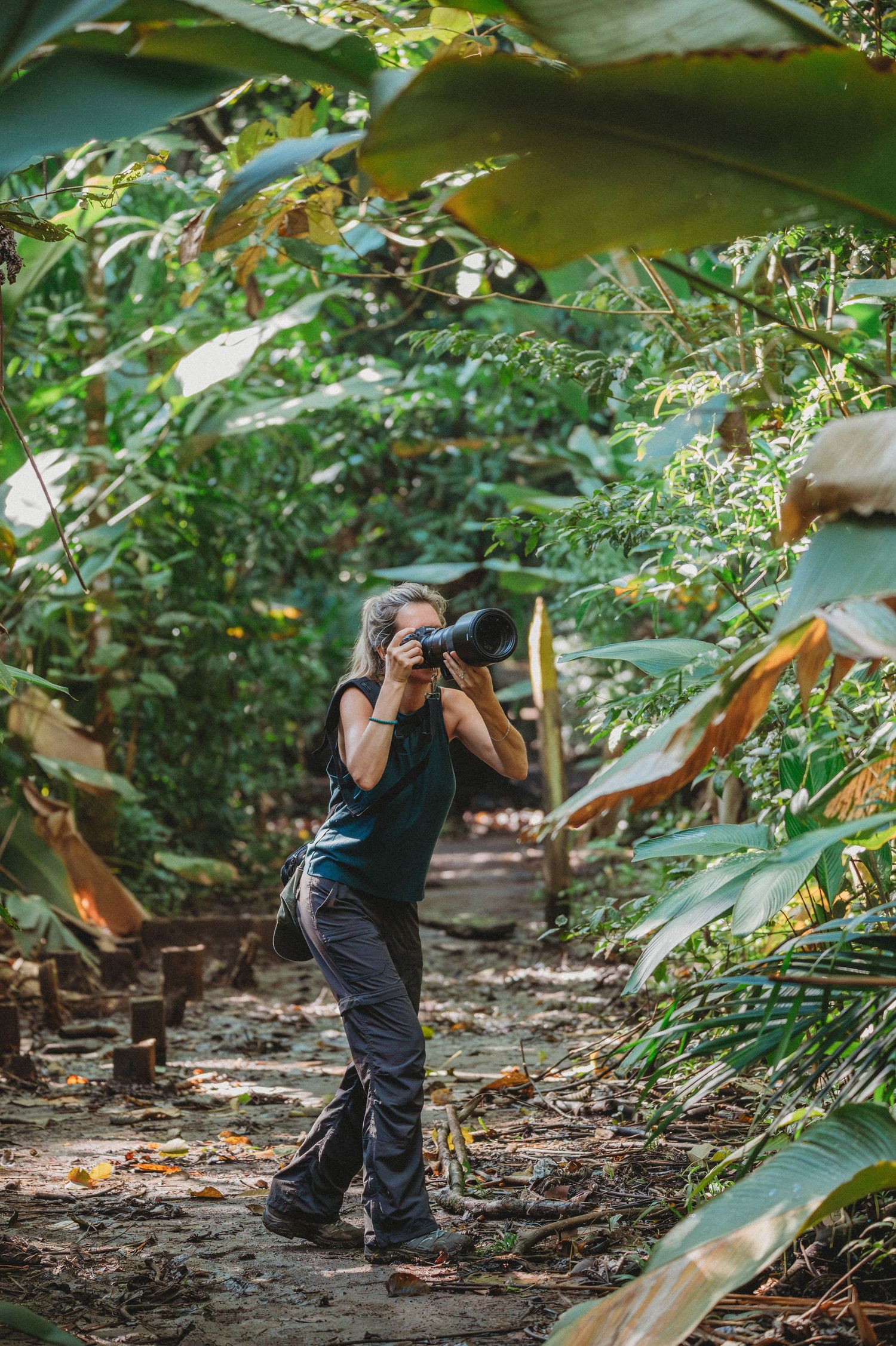 Photographer capturing shots on a forest path surrounded by lush tropical foliage and banana leaves.